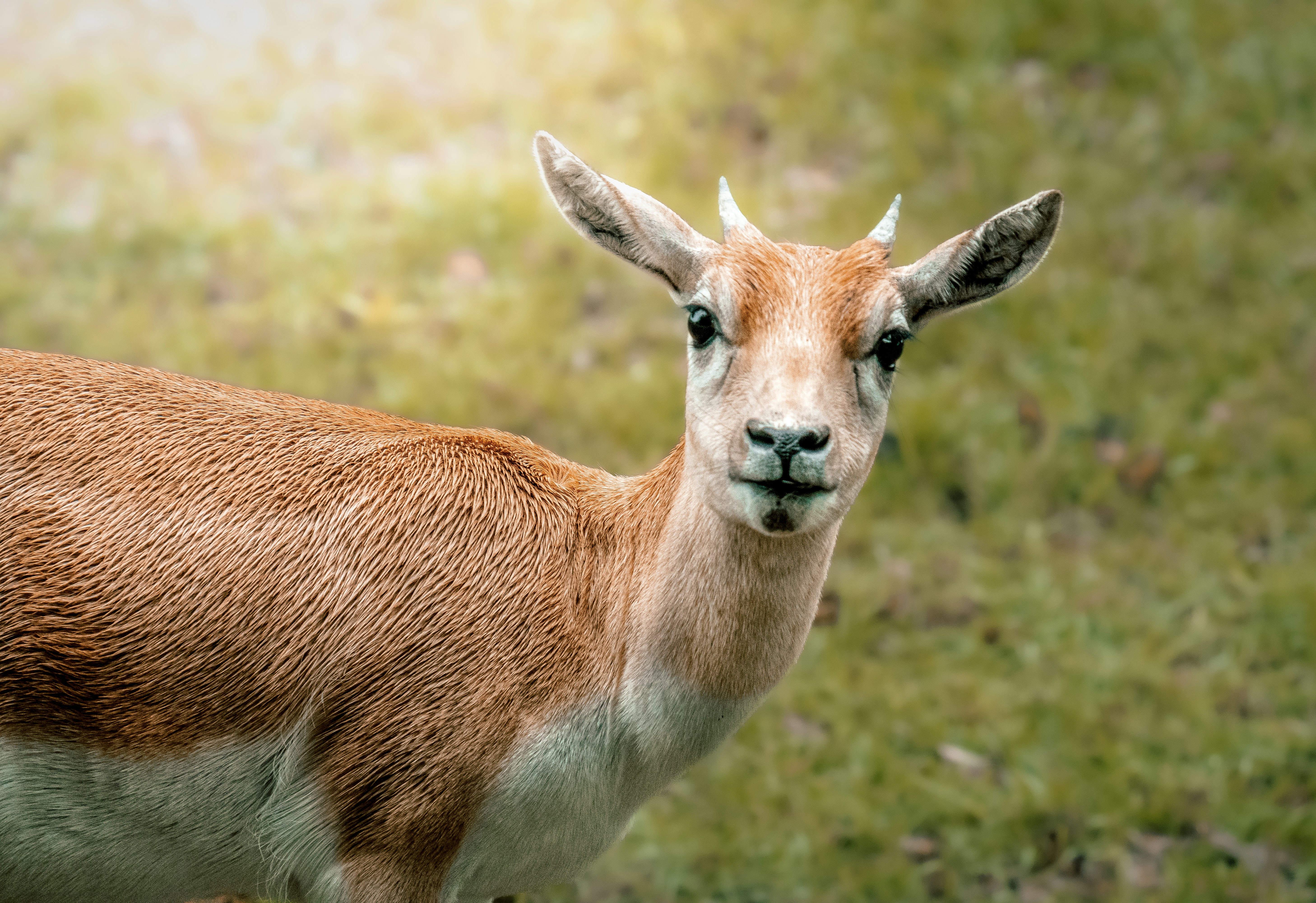 Photo by tomatopictures1