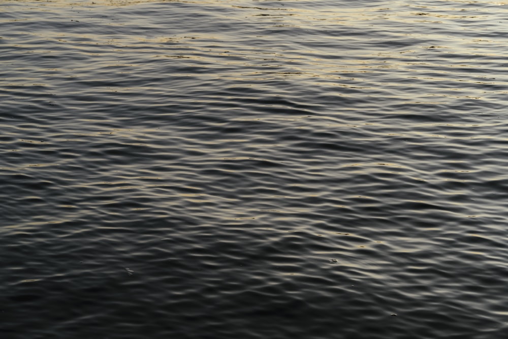 a large body of water with a boat in the distance