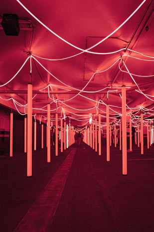 An exclusive underground party scene bathed in deep red and gold lighting.