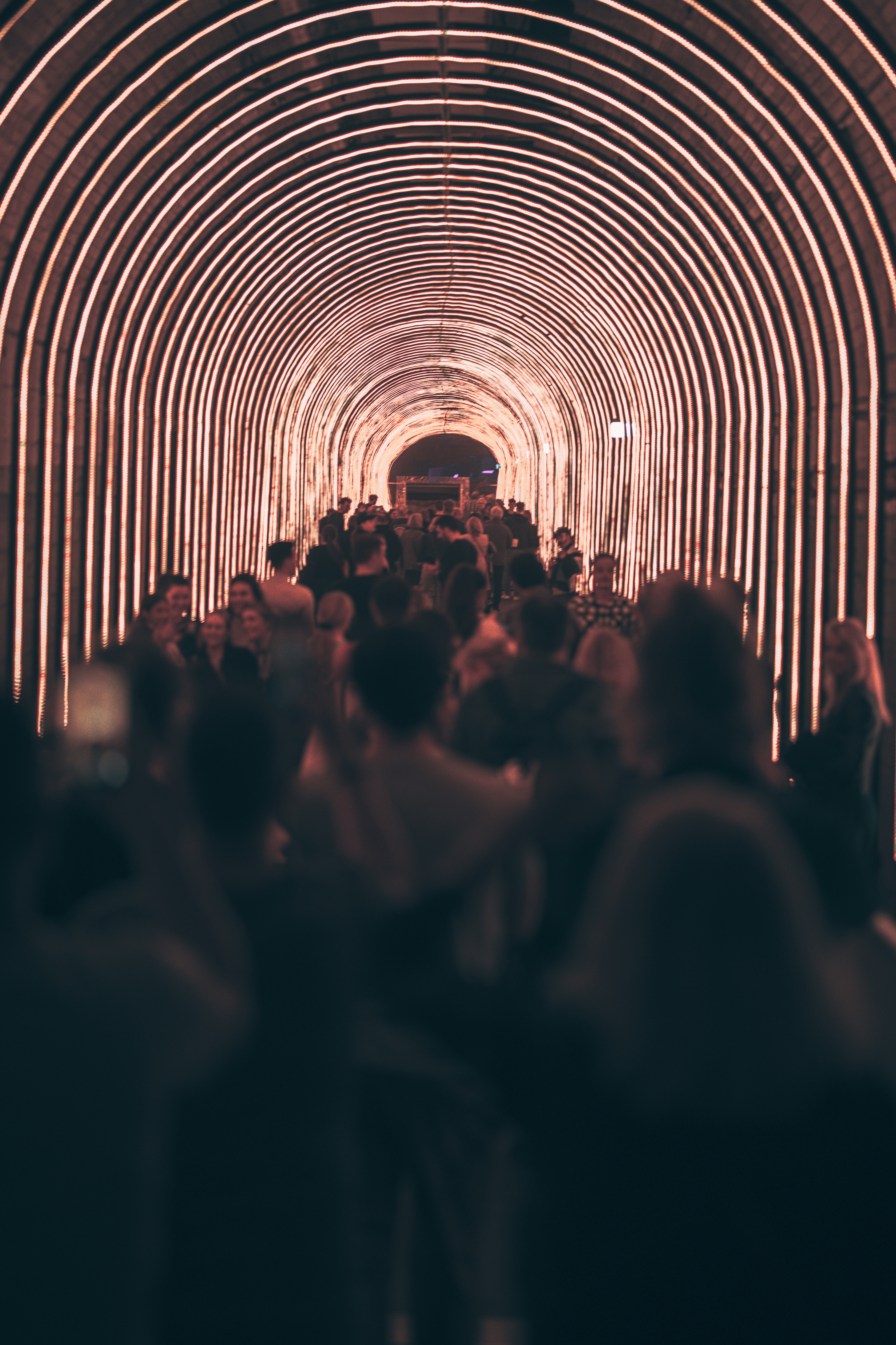 Le Triumvirat Solid : De Zéro à Héros avec Rails 8 (3/4)