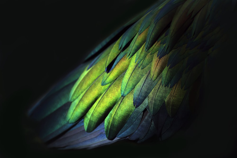 a close up of a green and blue bird's feathers