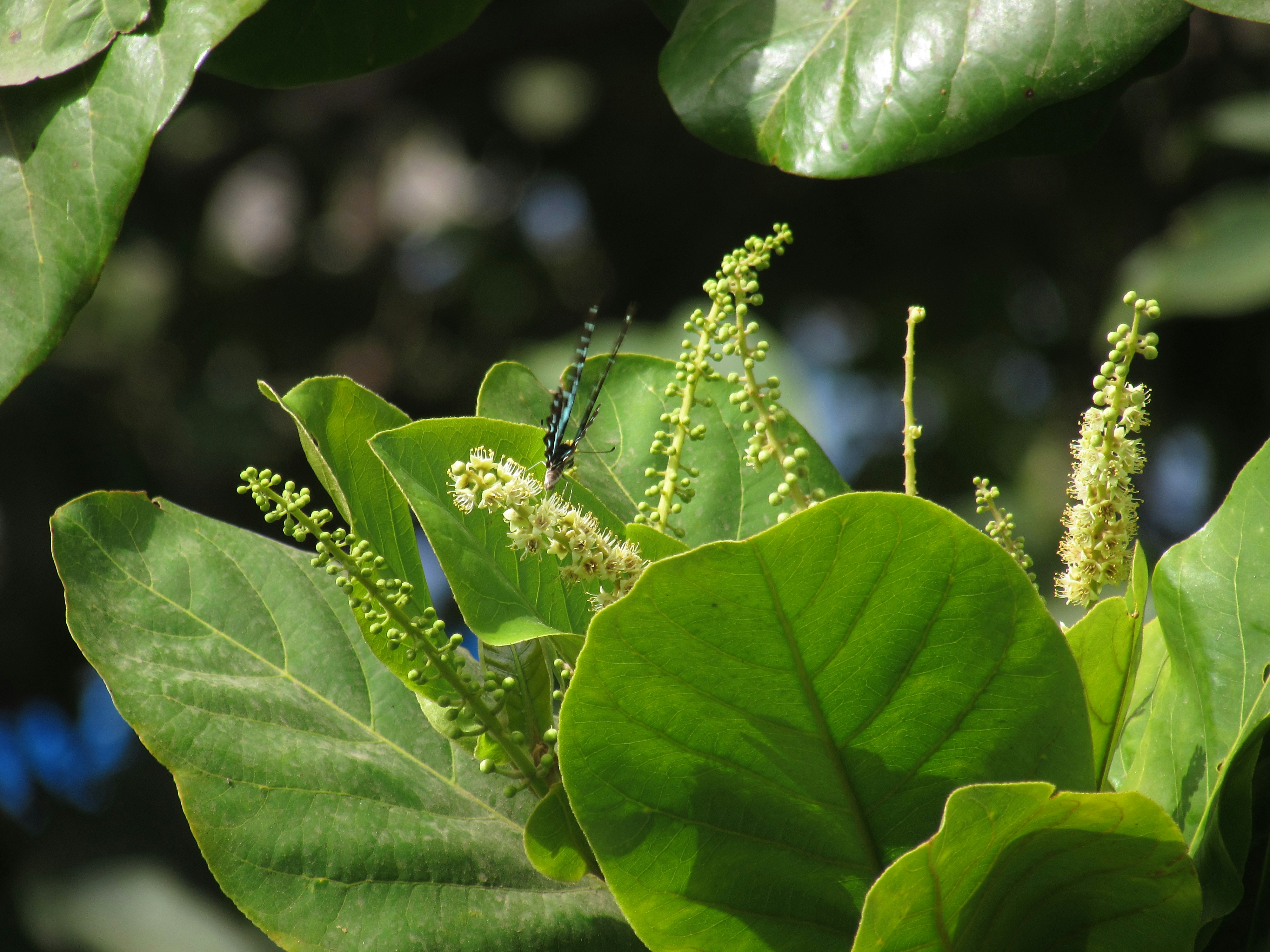 Photo by atharvakanekar22