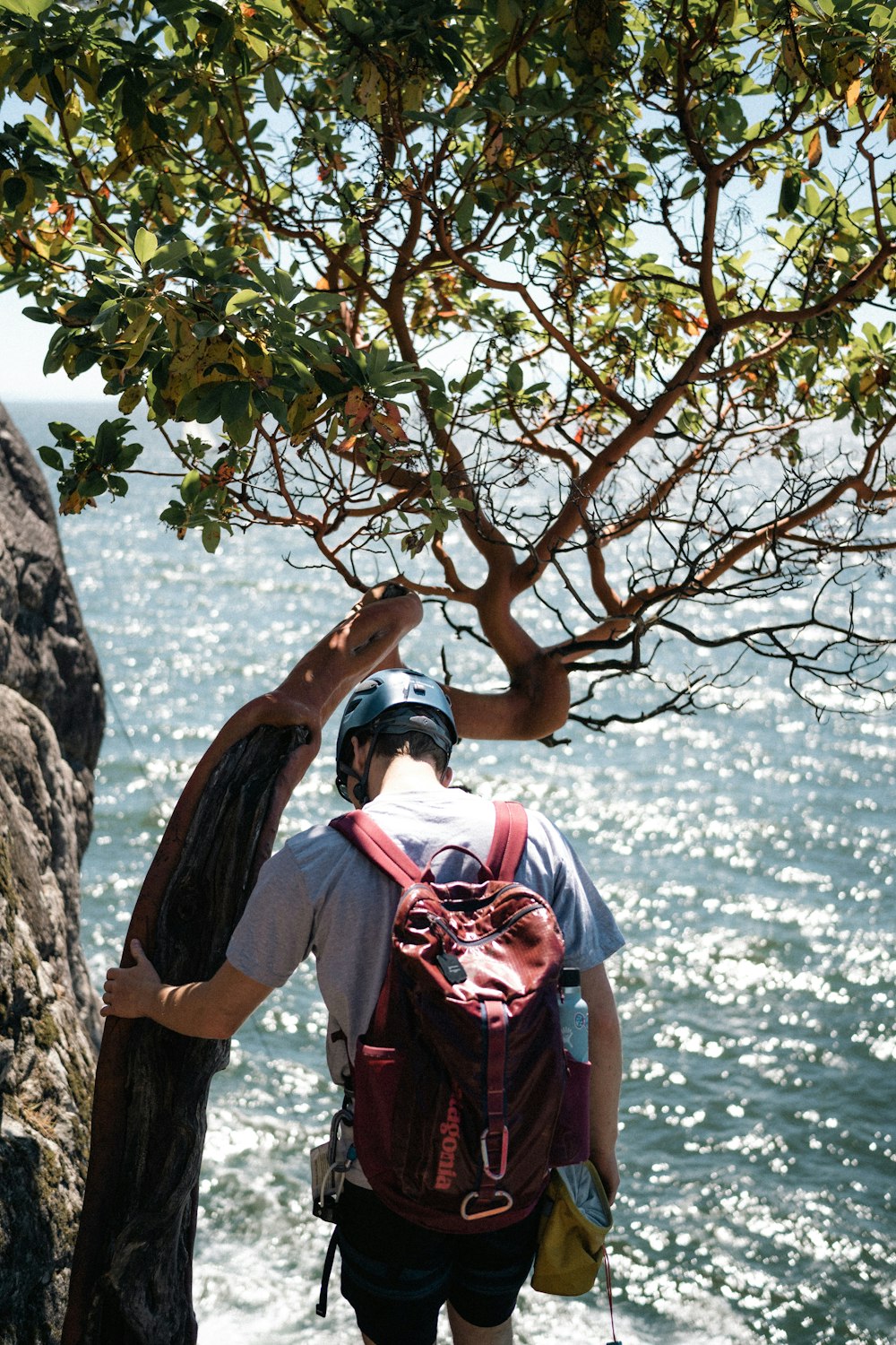a man climbing up a tree next to the ocean