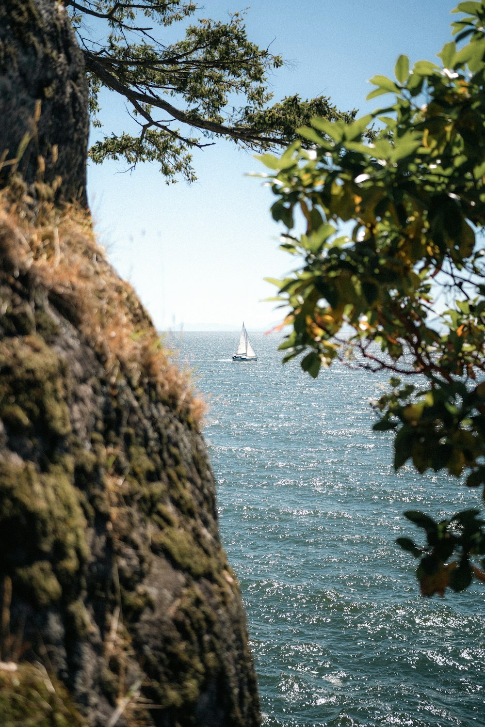 a sailboat sailing on the ocean near a cliff