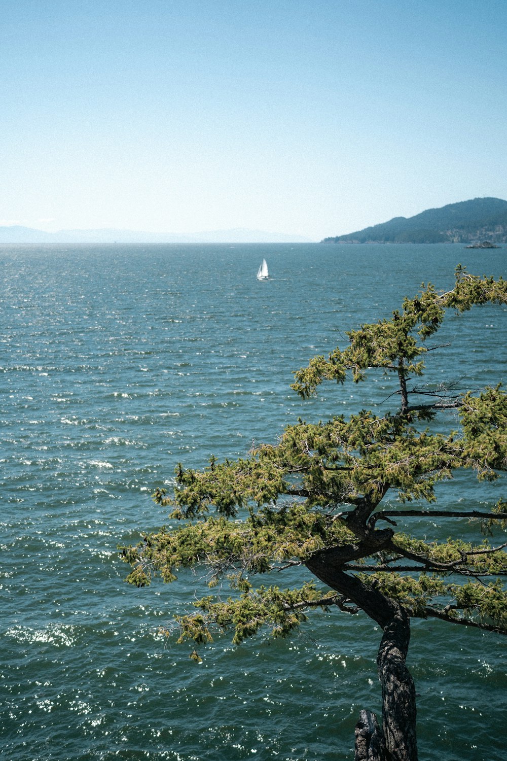 a lone boat is out on the water