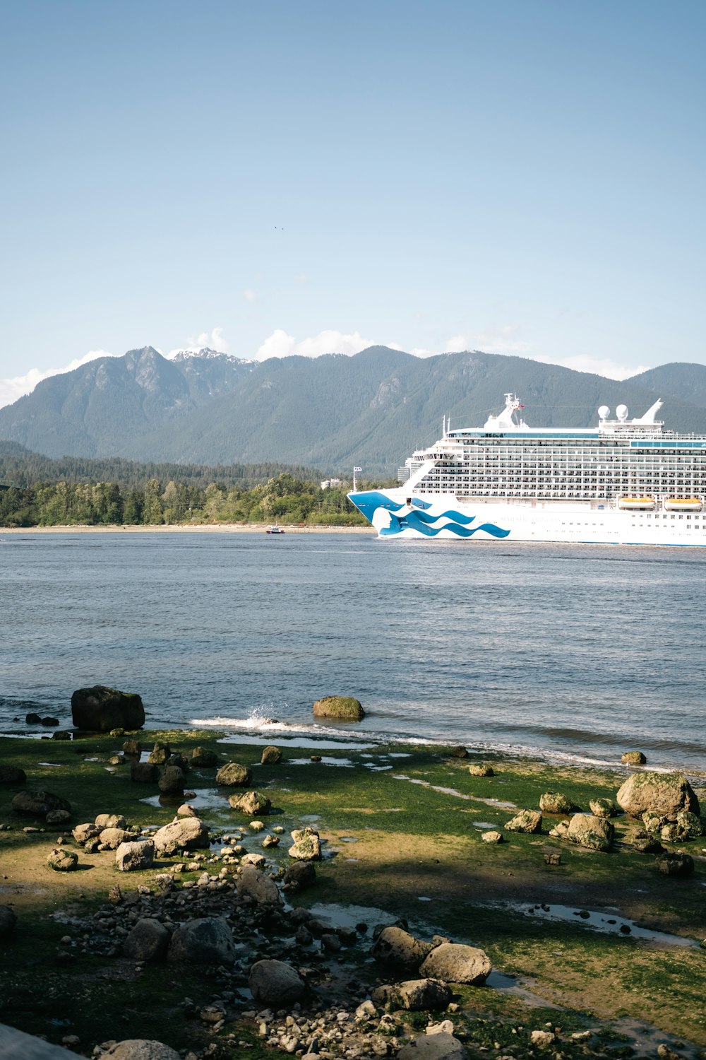 a cruise ship is in the distance on the water