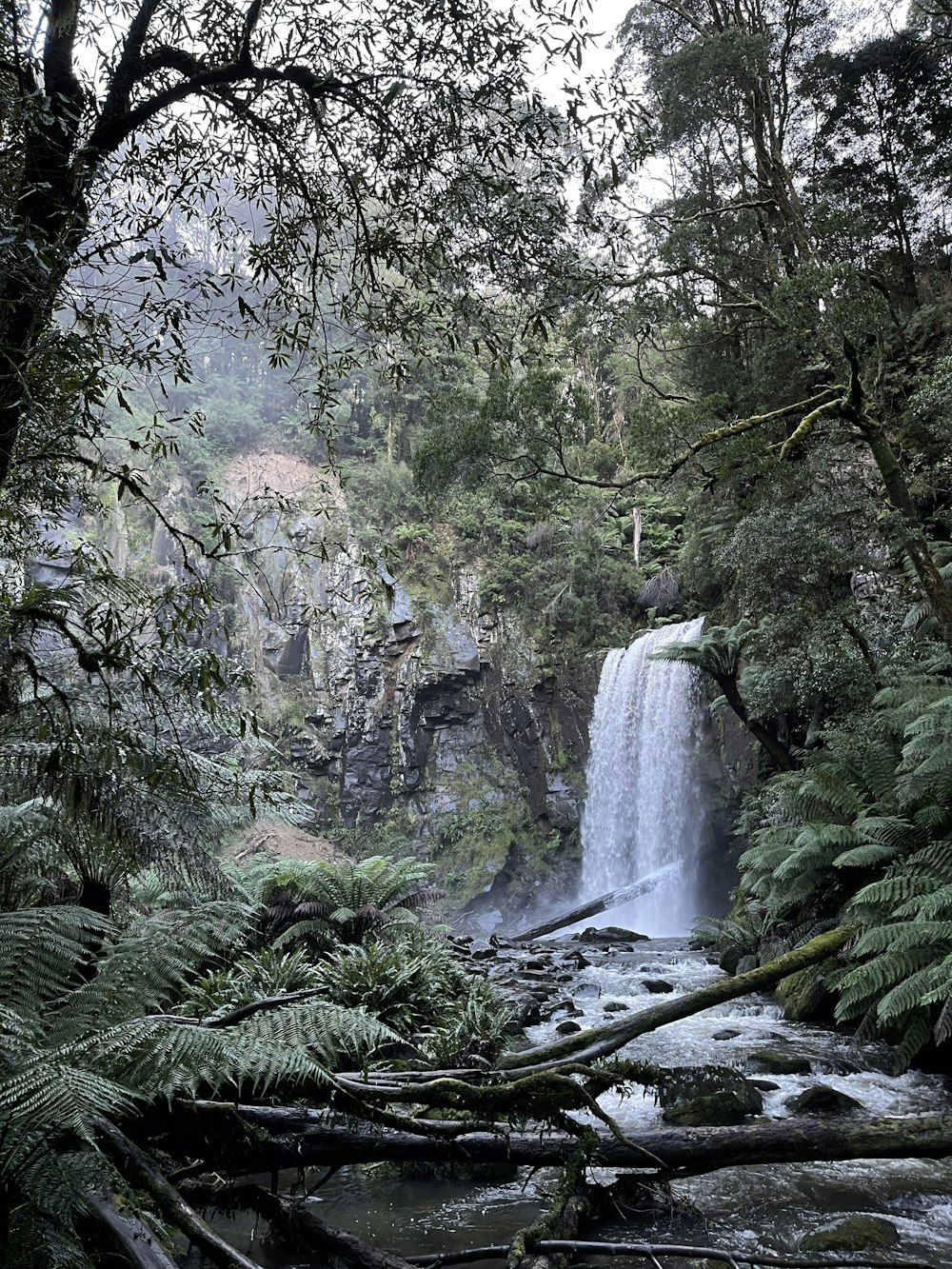 Una cascata nel mezzo di una foresta