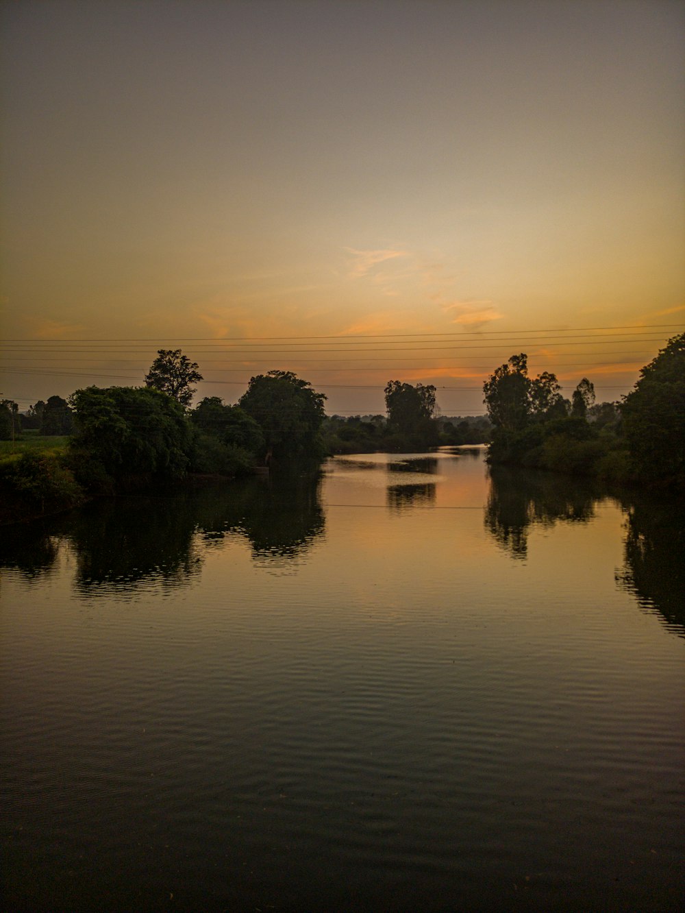 a body of water with trees in the background