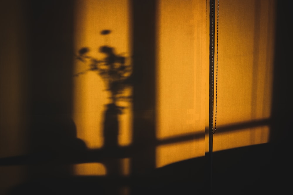 the shadow of a vase on a window sill