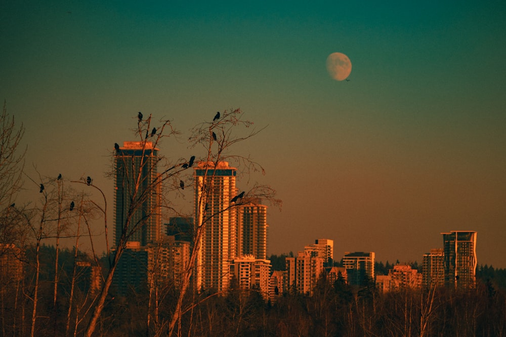 a full moon rises over a city skyline