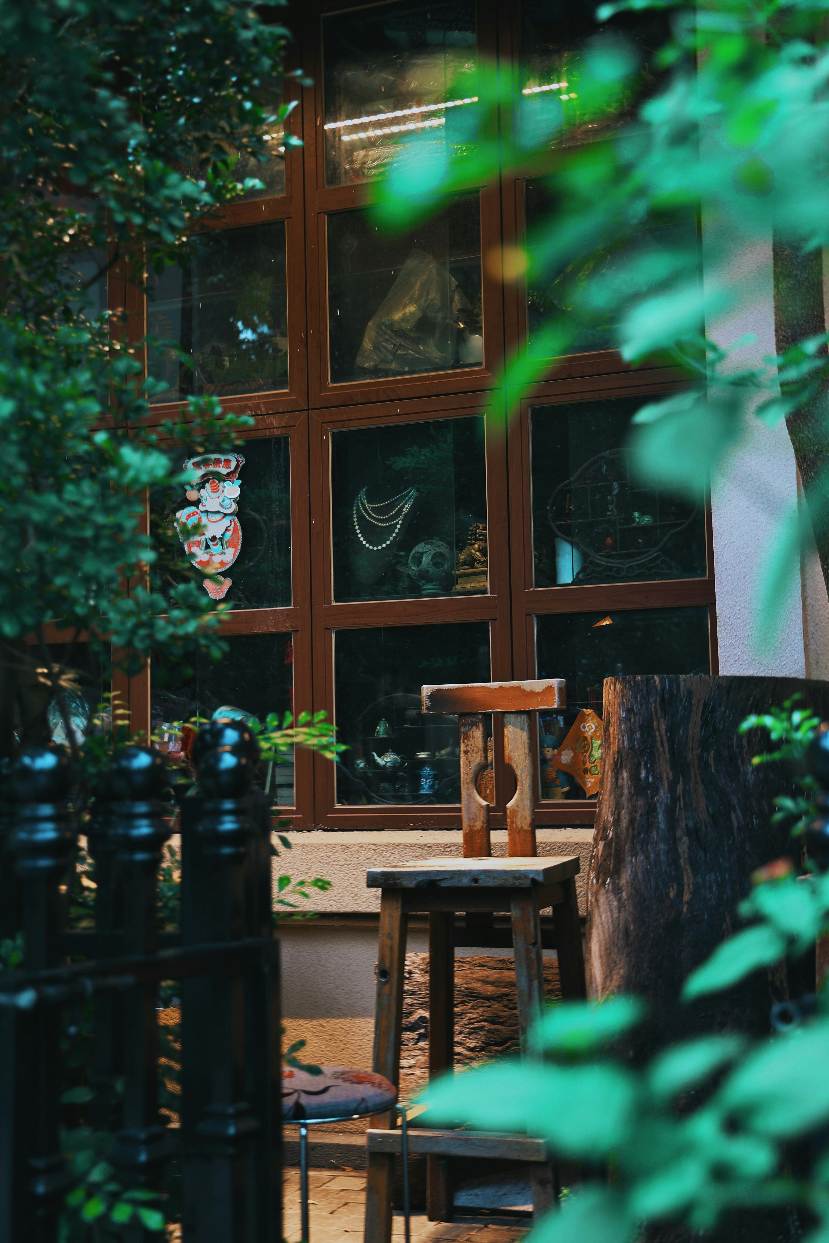 Photo by tailor_scholar