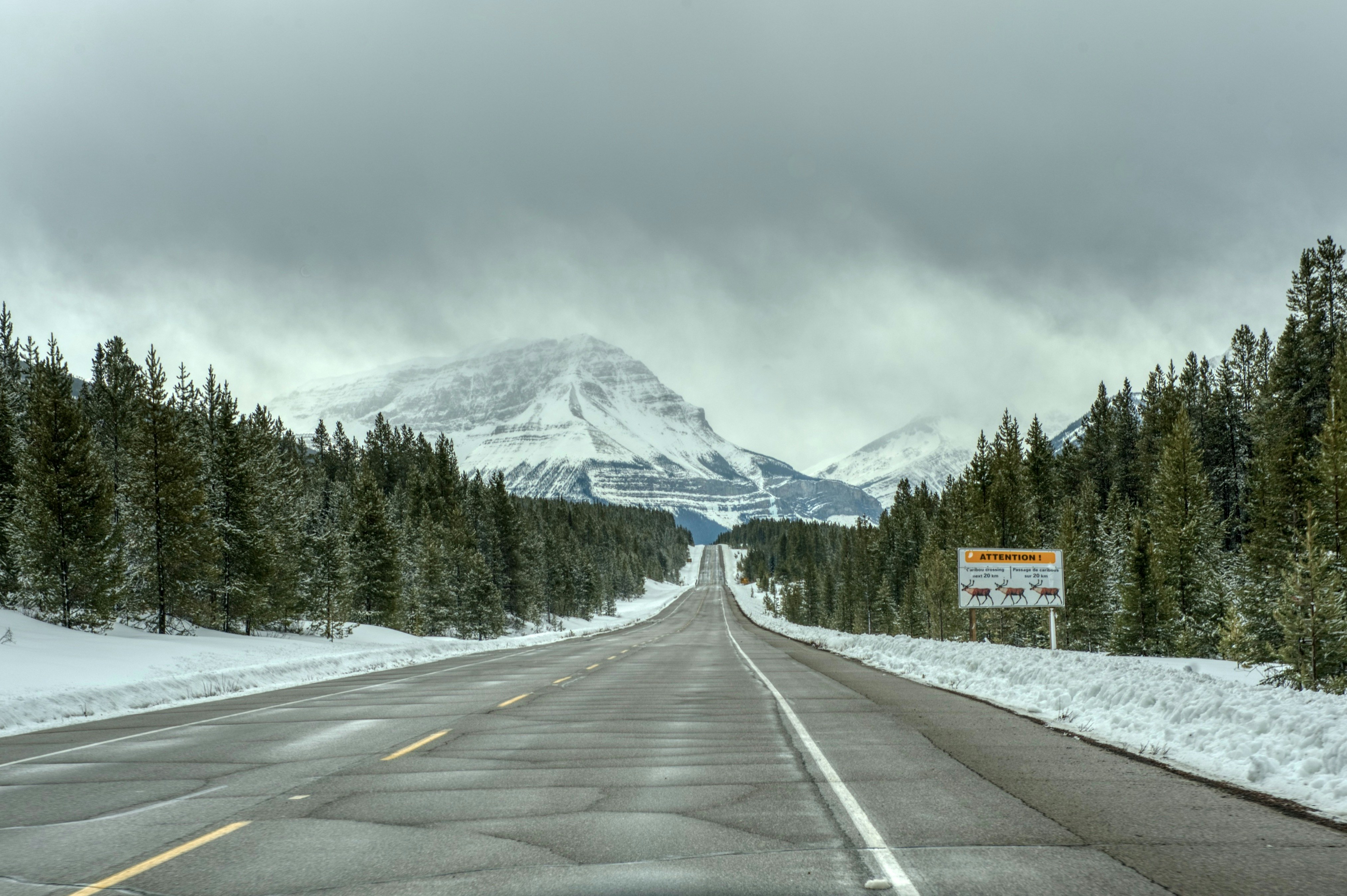 a road with a sign on the side of it