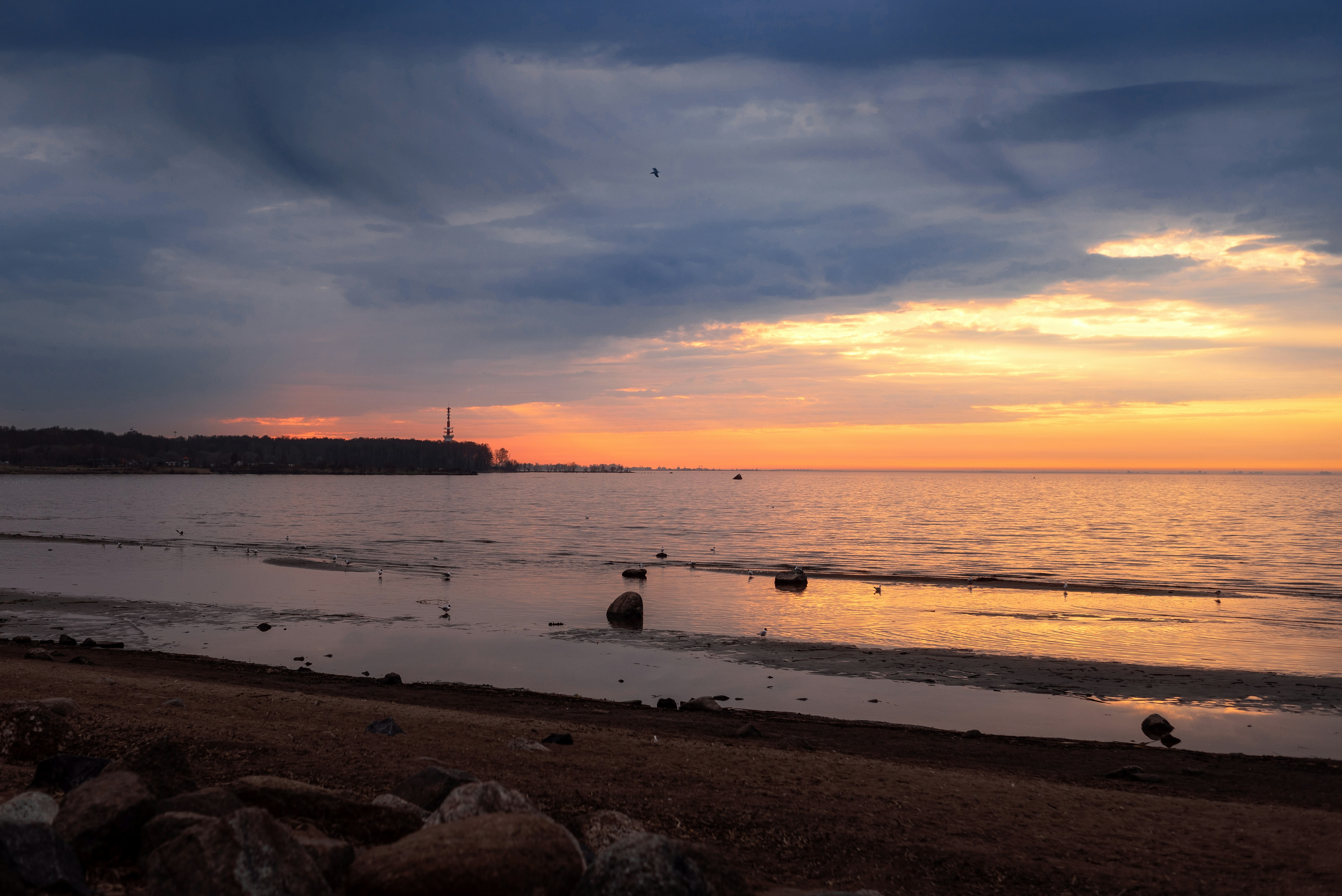 Photo by vadutskevich