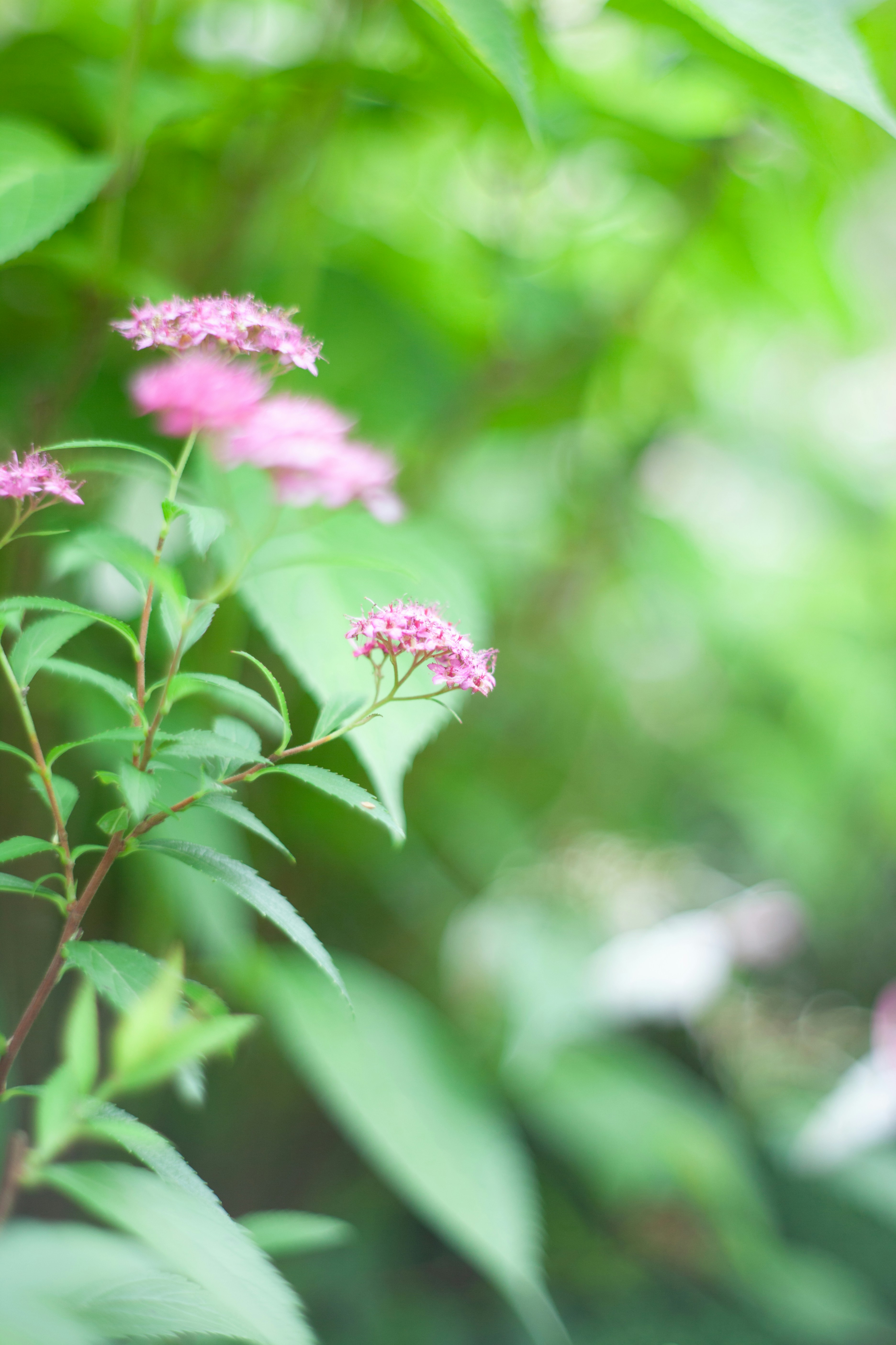 Photo by takatsuchida