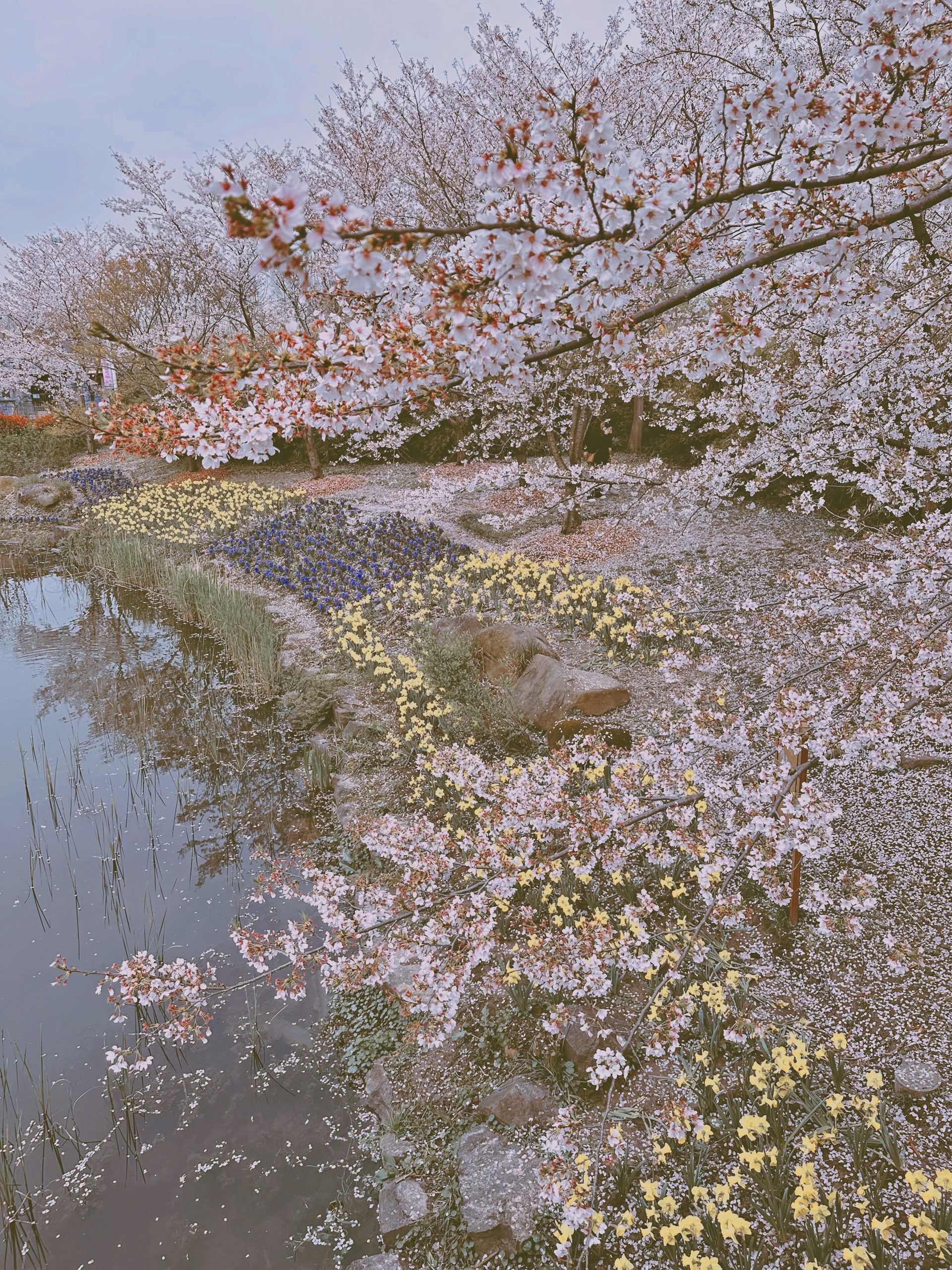 woman wearing yellow long-sleeved dress under white clouds and blue sky during daytime