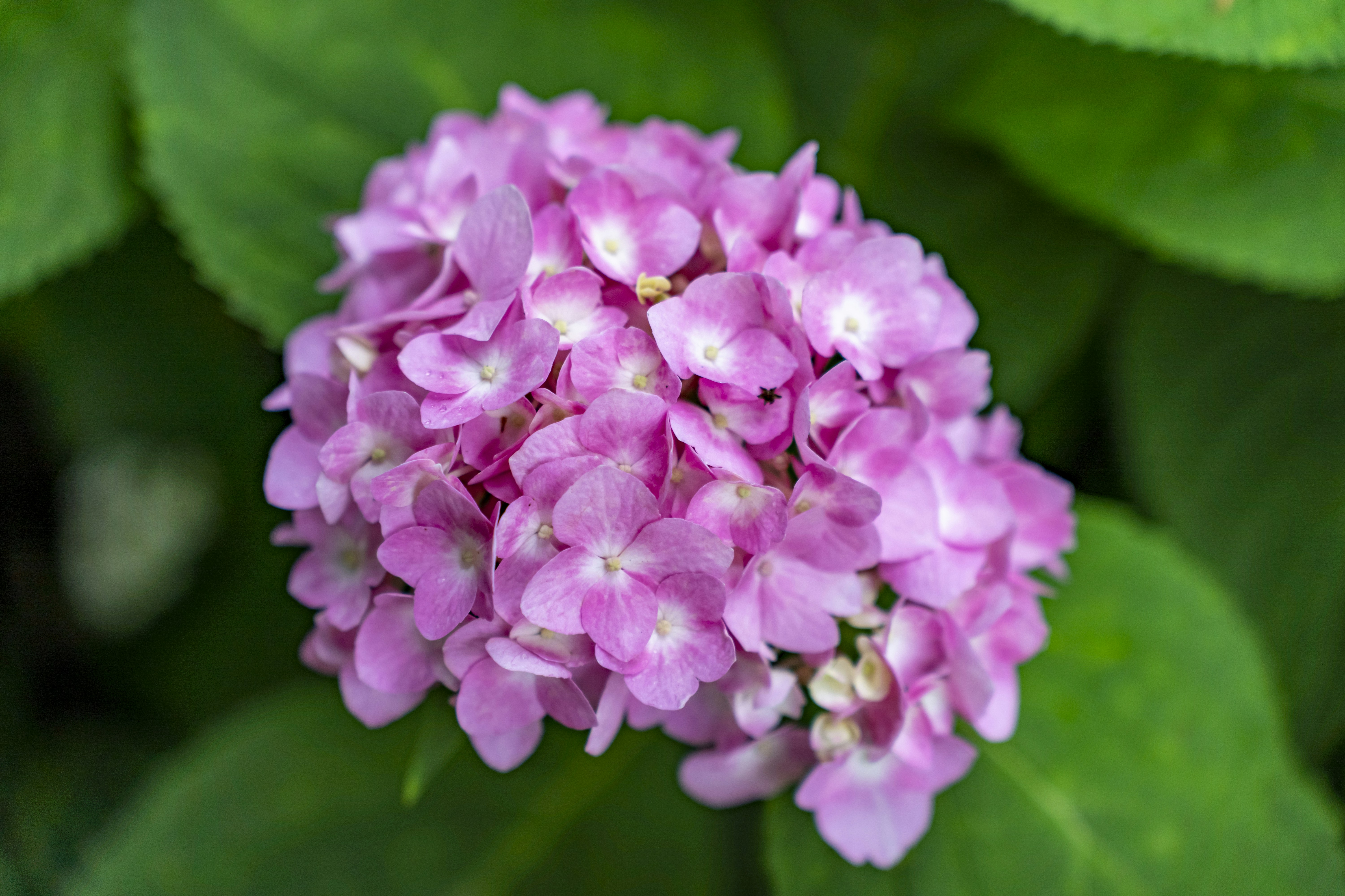 Photo by kevinwang413156