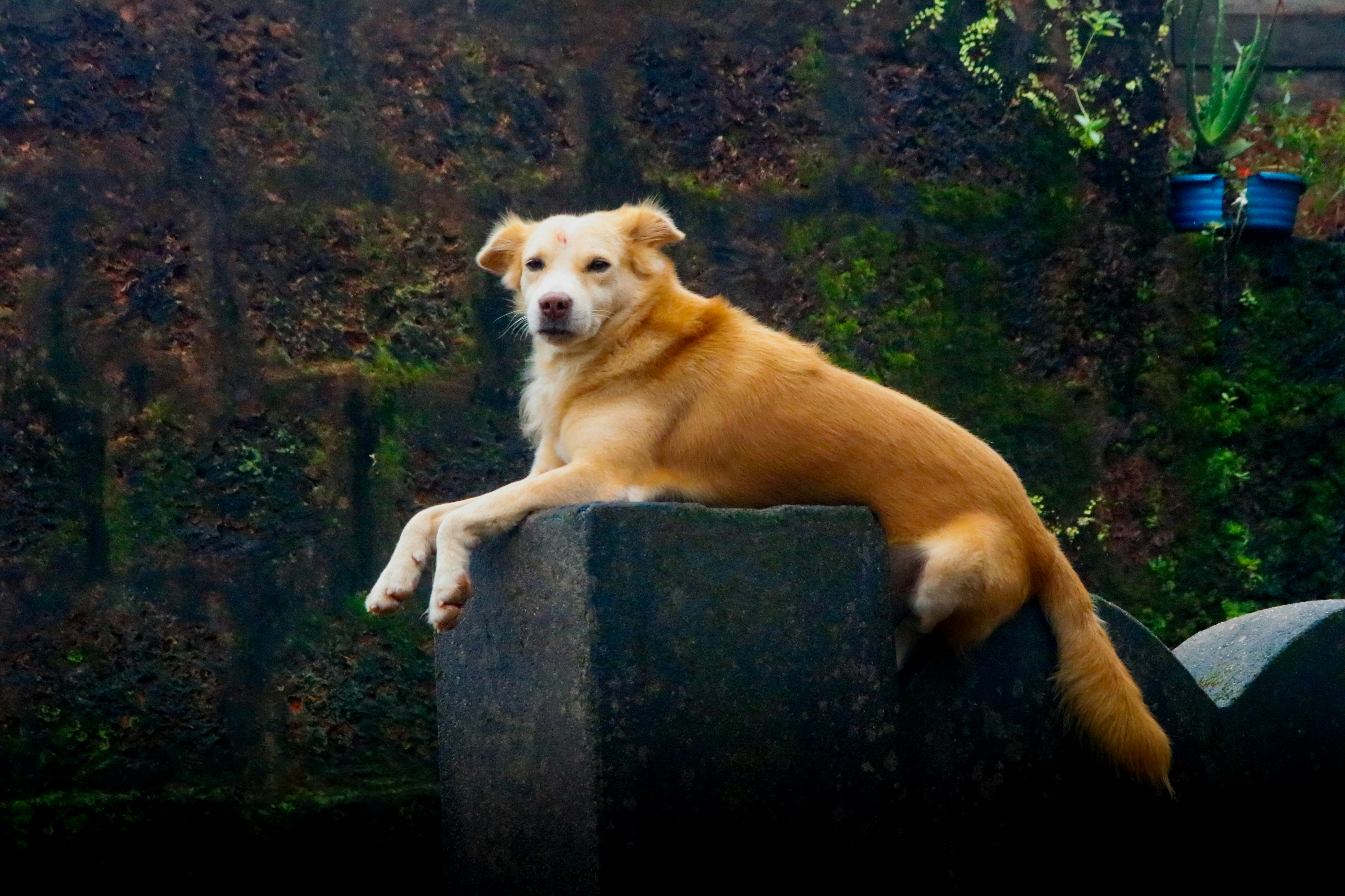 Photo by karanghadi