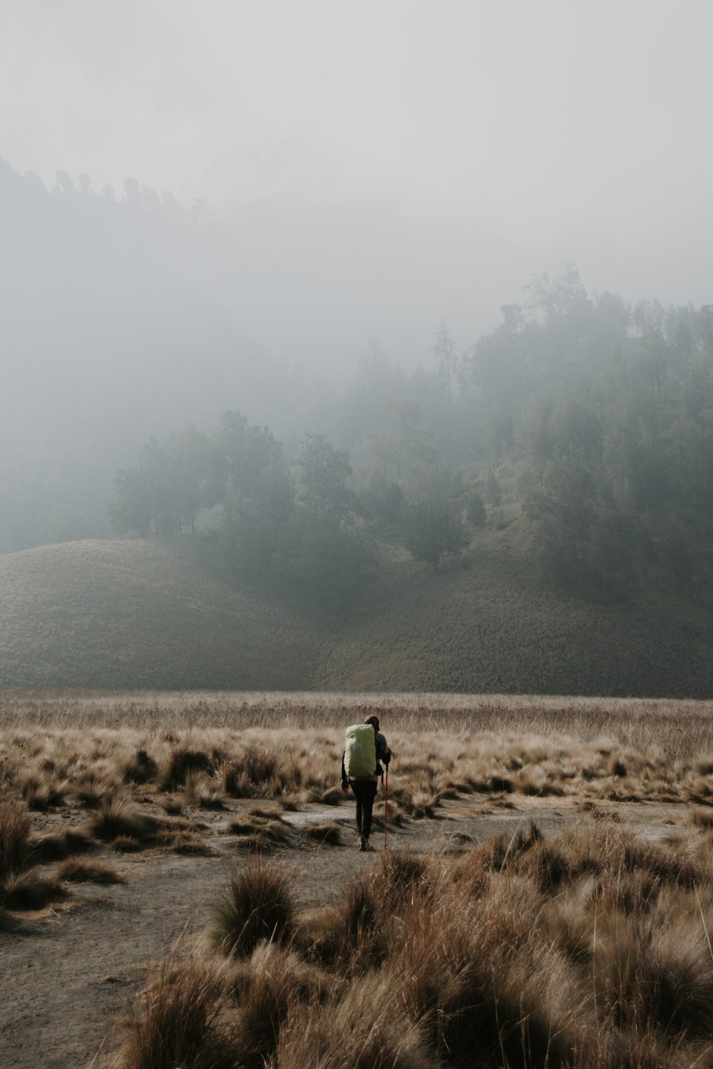 a person with a backpack walking through a field