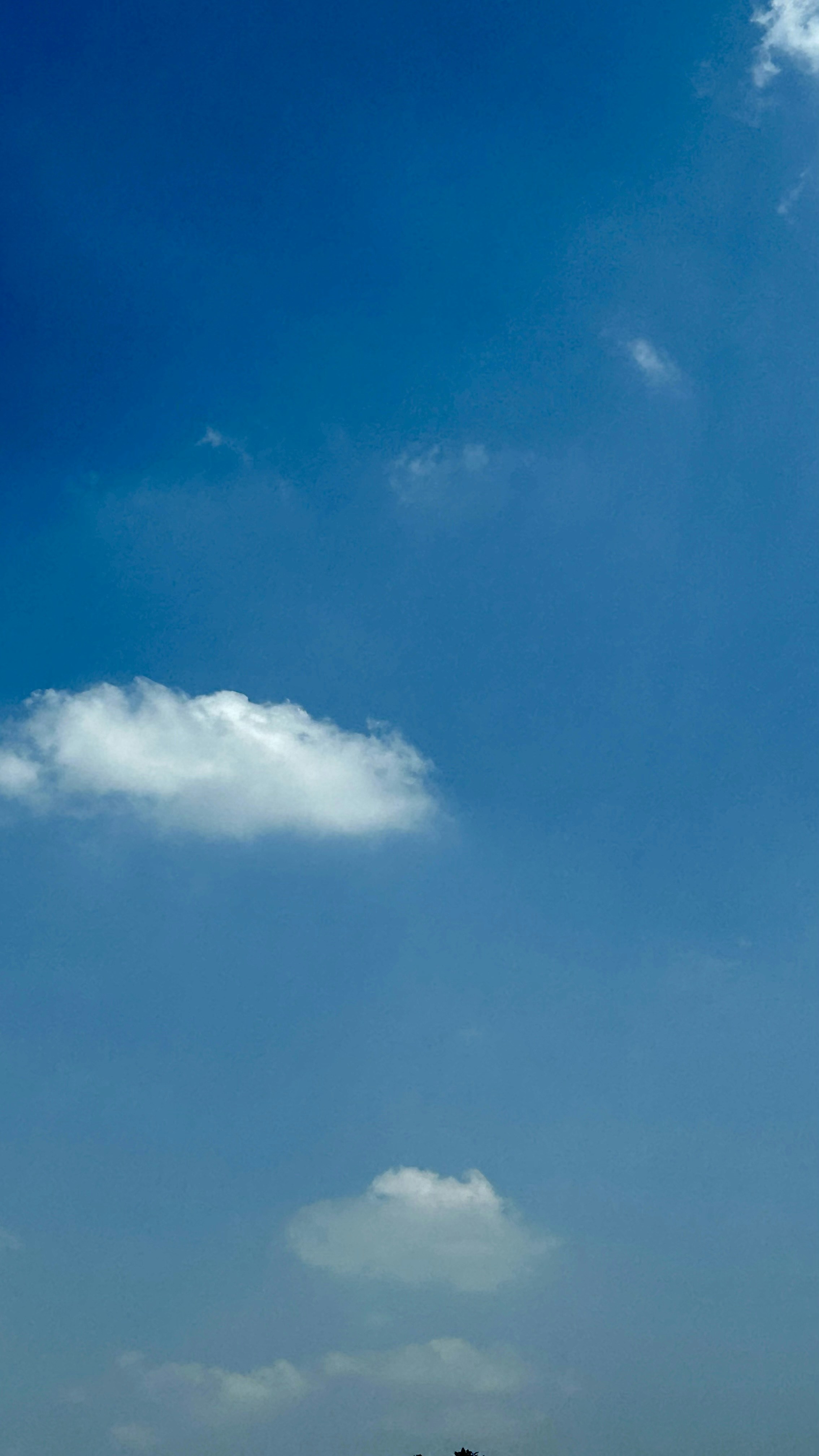 Photo by rajmathur12366