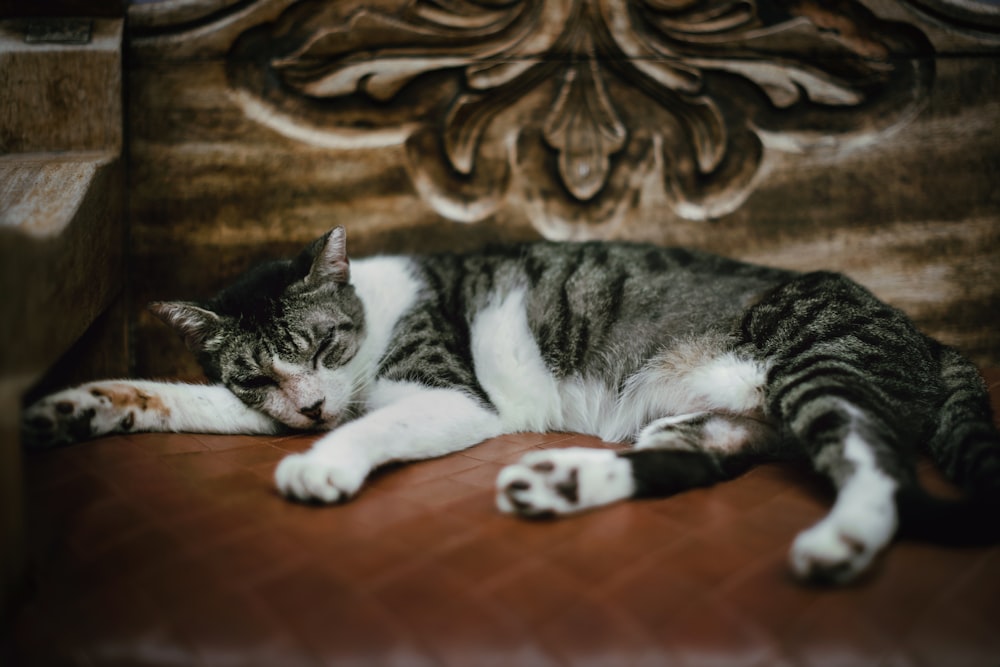 a cat laying on top of a wooden chair