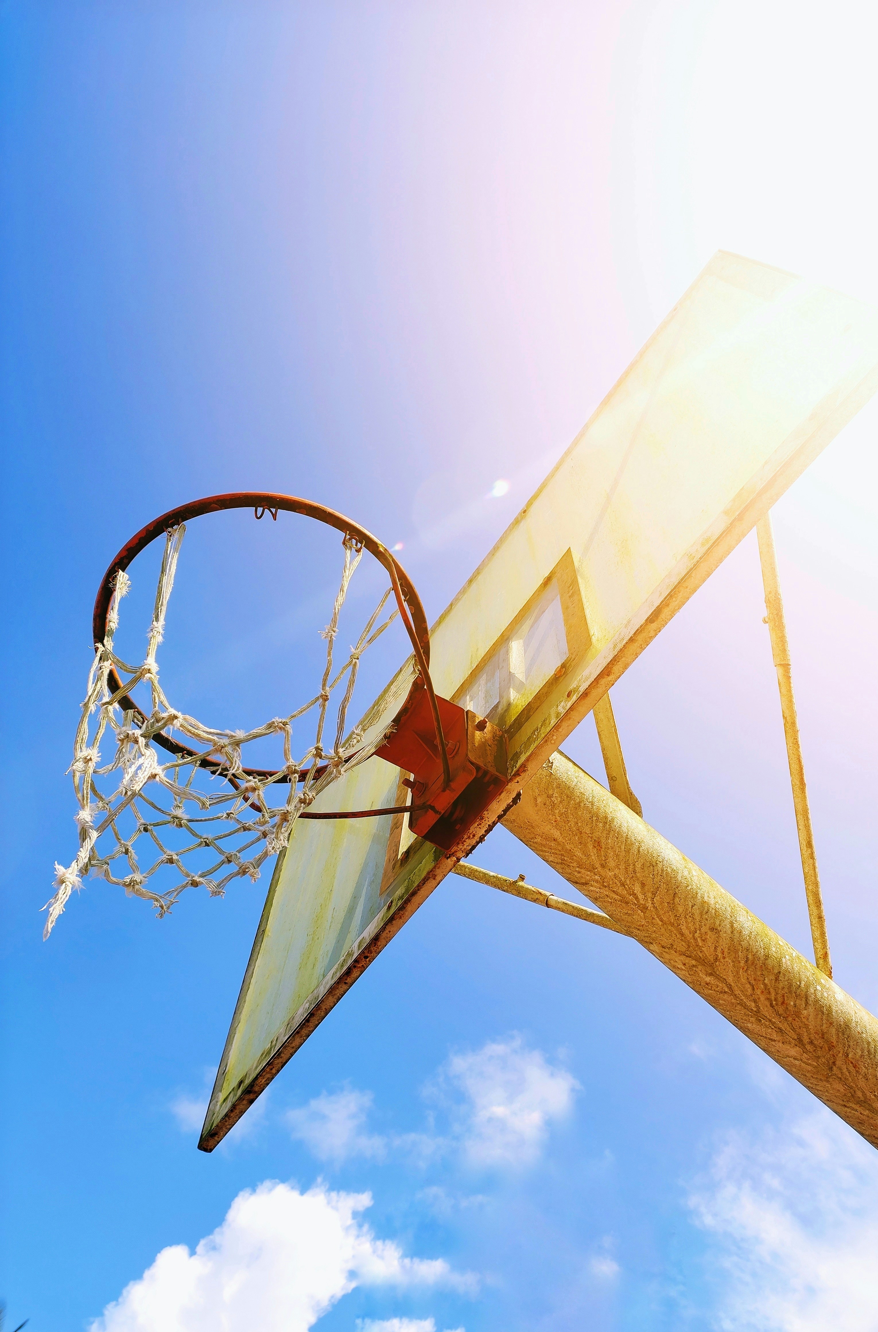 Pro Basketball Hoop