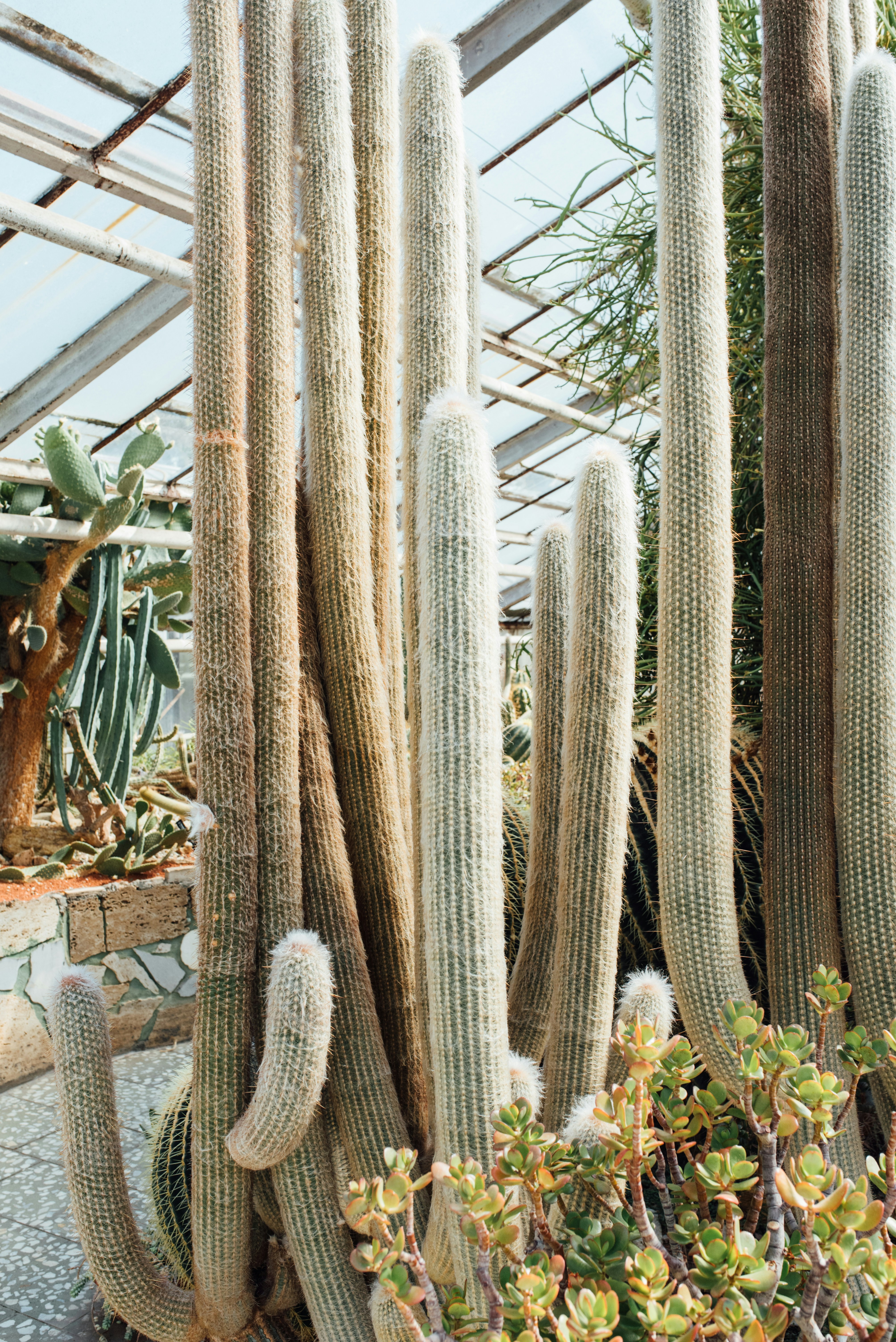 Olomouc – Neighborhoods & Urban Structure