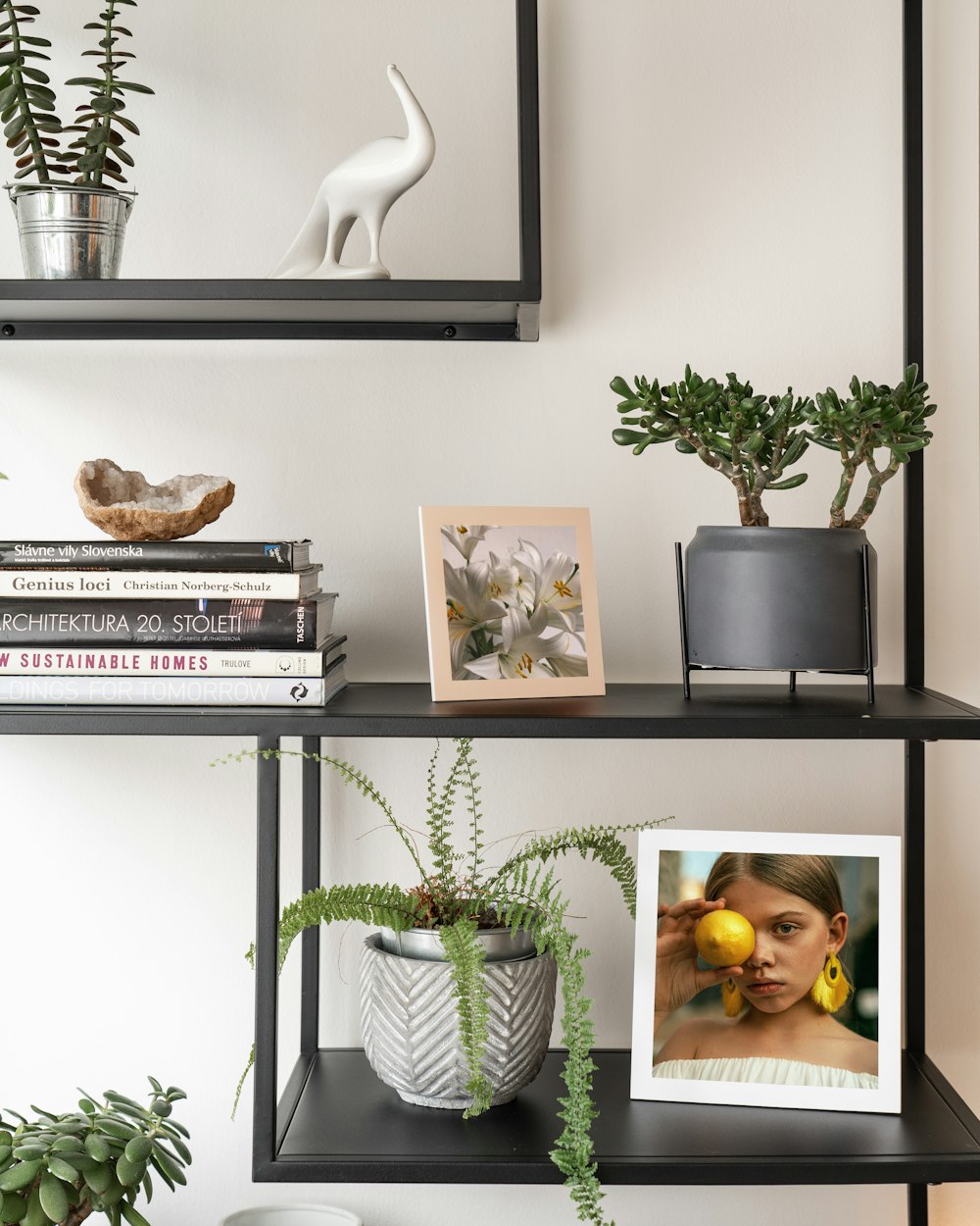 a couple of shelves with plants and pictures on them