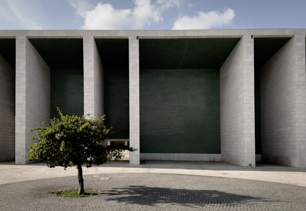 a tree in front of a concrete building