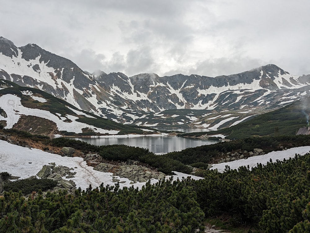 a snow covered mountain with a lake surrounded by trees