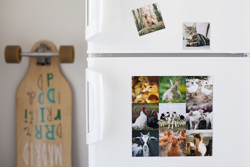 A white refrigerator decorated with multiple animal-themed photographs. The top section features two smaller images of a dog in a forest and a tabby cat. The lower section displays a collage of several animals including ducklings, a rabbit, geese, turkeys, cows, pigs, a goat, a chicken, and a horse. To the left of the fridge, a longboard with stylized text is leaning against the wall.