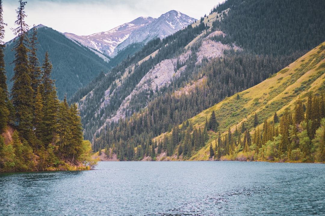 a body of water surrounded by mountains and trees,