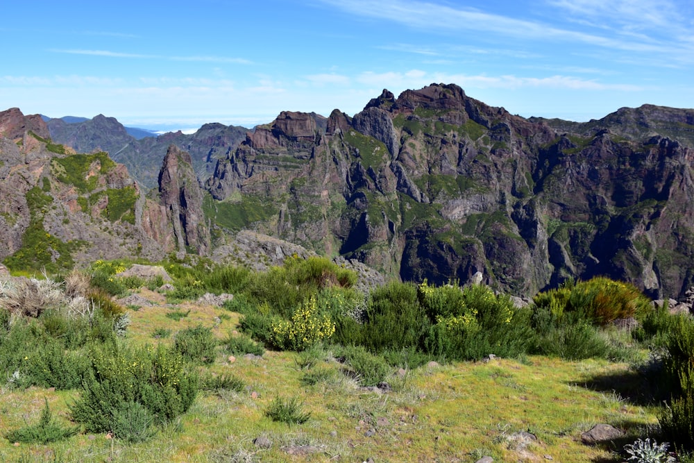 a view of a mountain range from the top of a hill