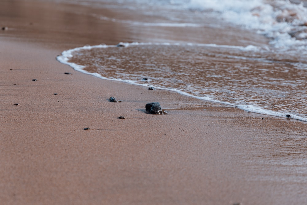 a close up of a beach with waves coming in