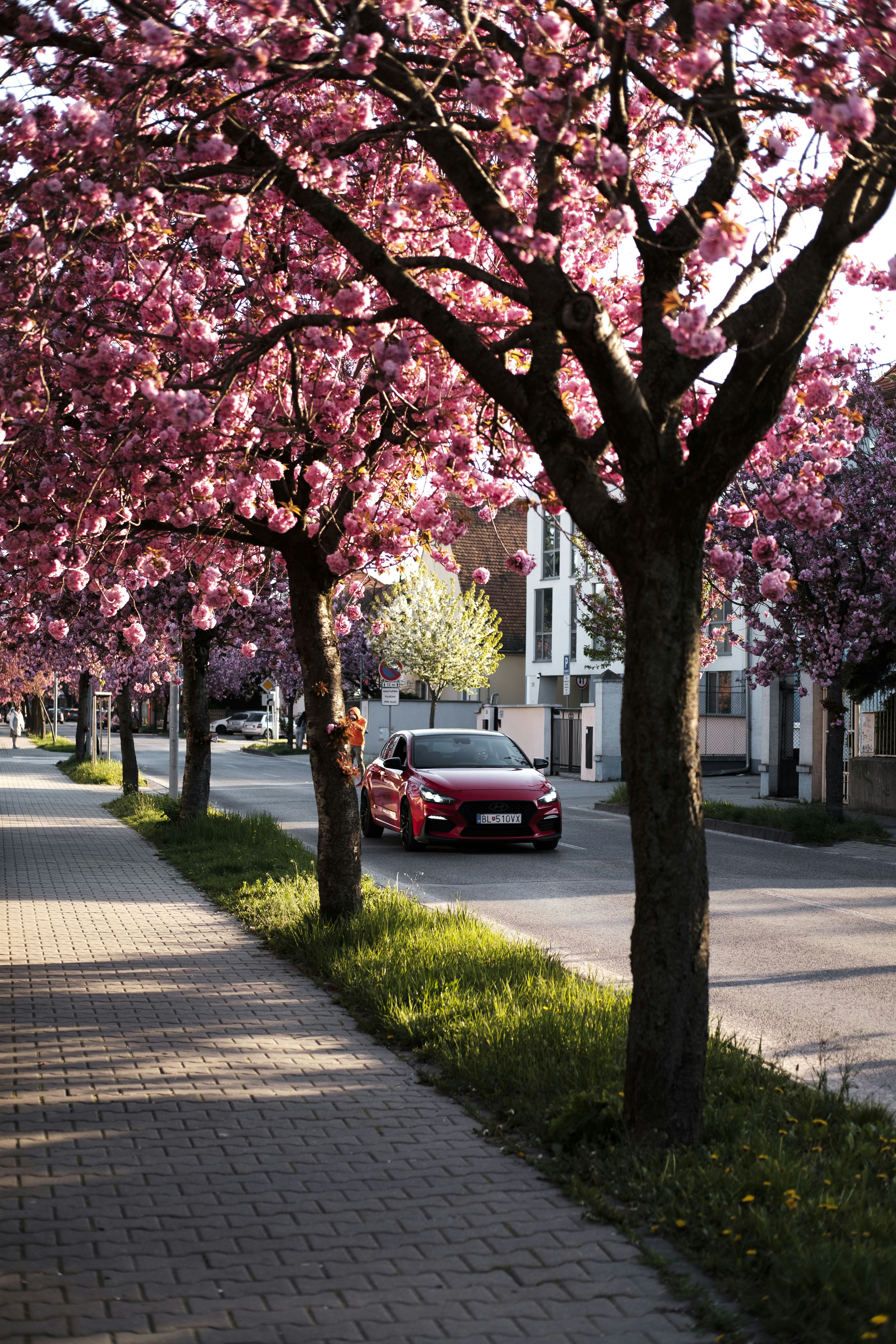 Photo by palivo_duracka