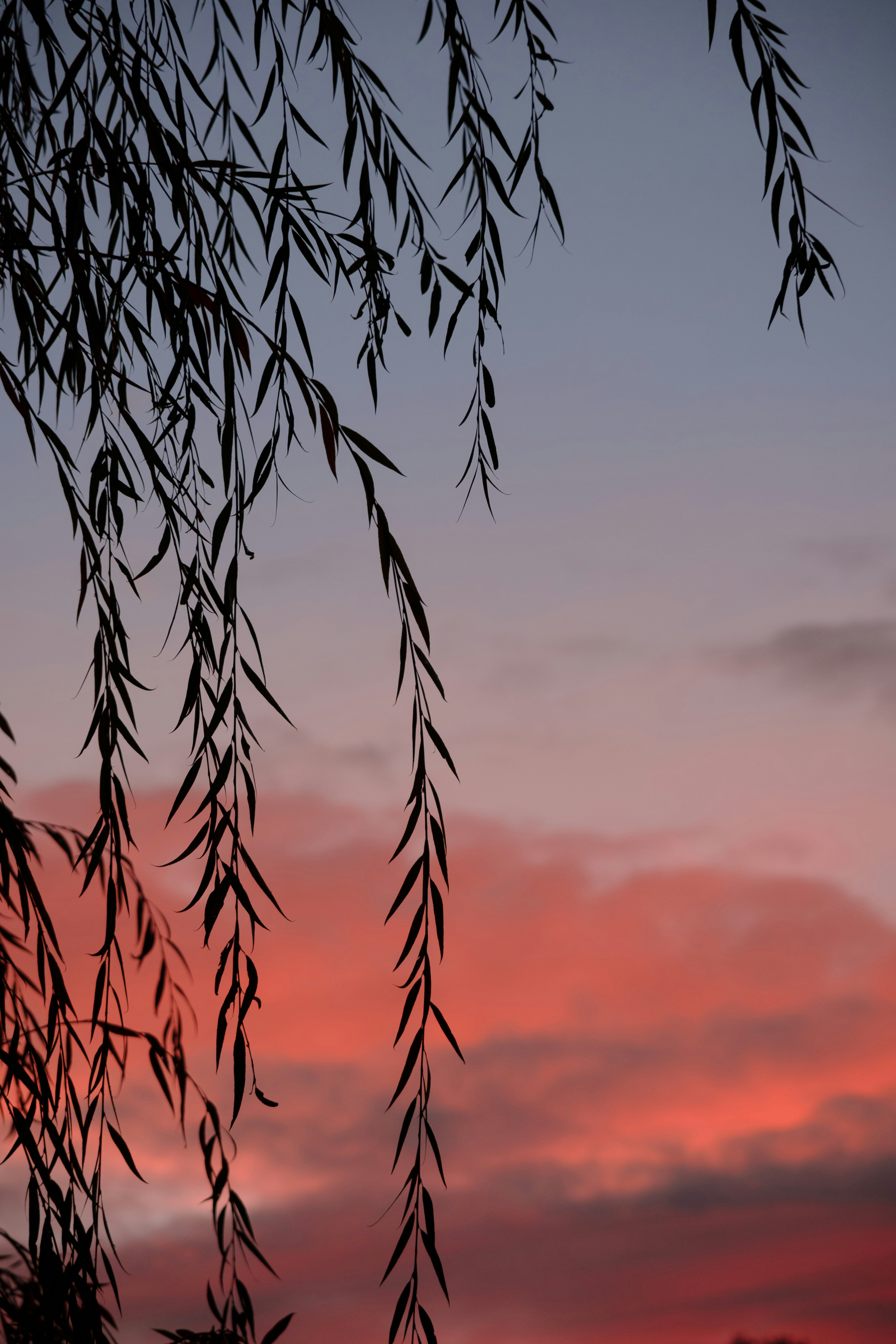 Photo by palivo_duracka