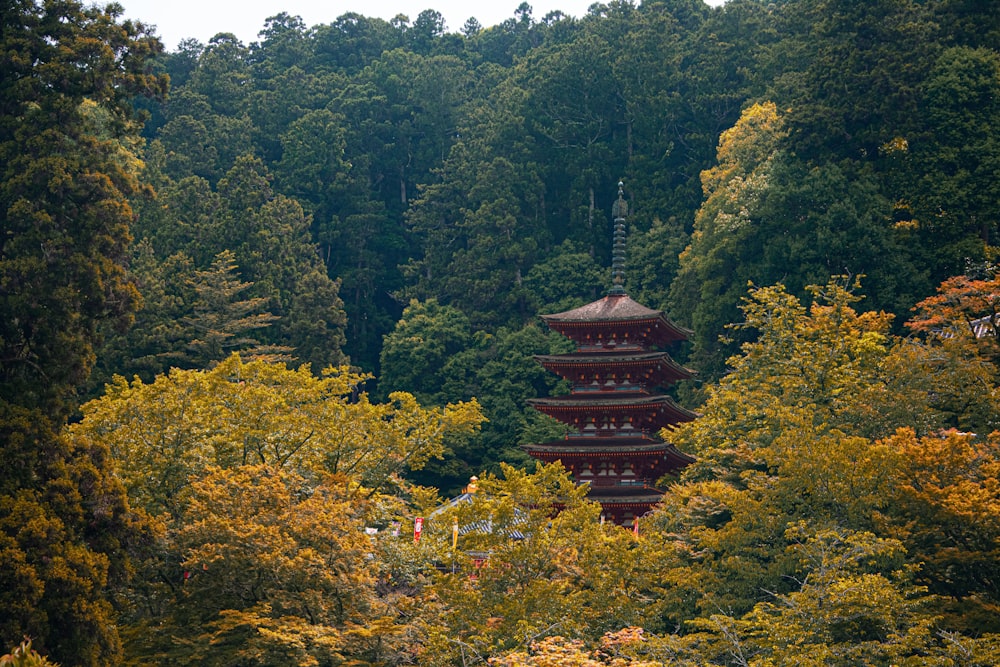 a tall pagoda in the middle of a forest