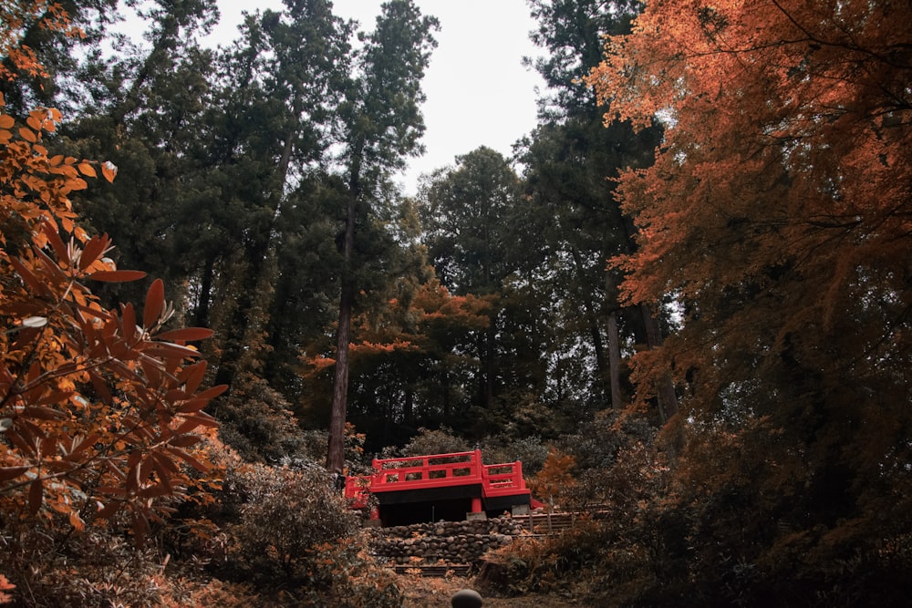 a red bench sitting in the middle of a forest