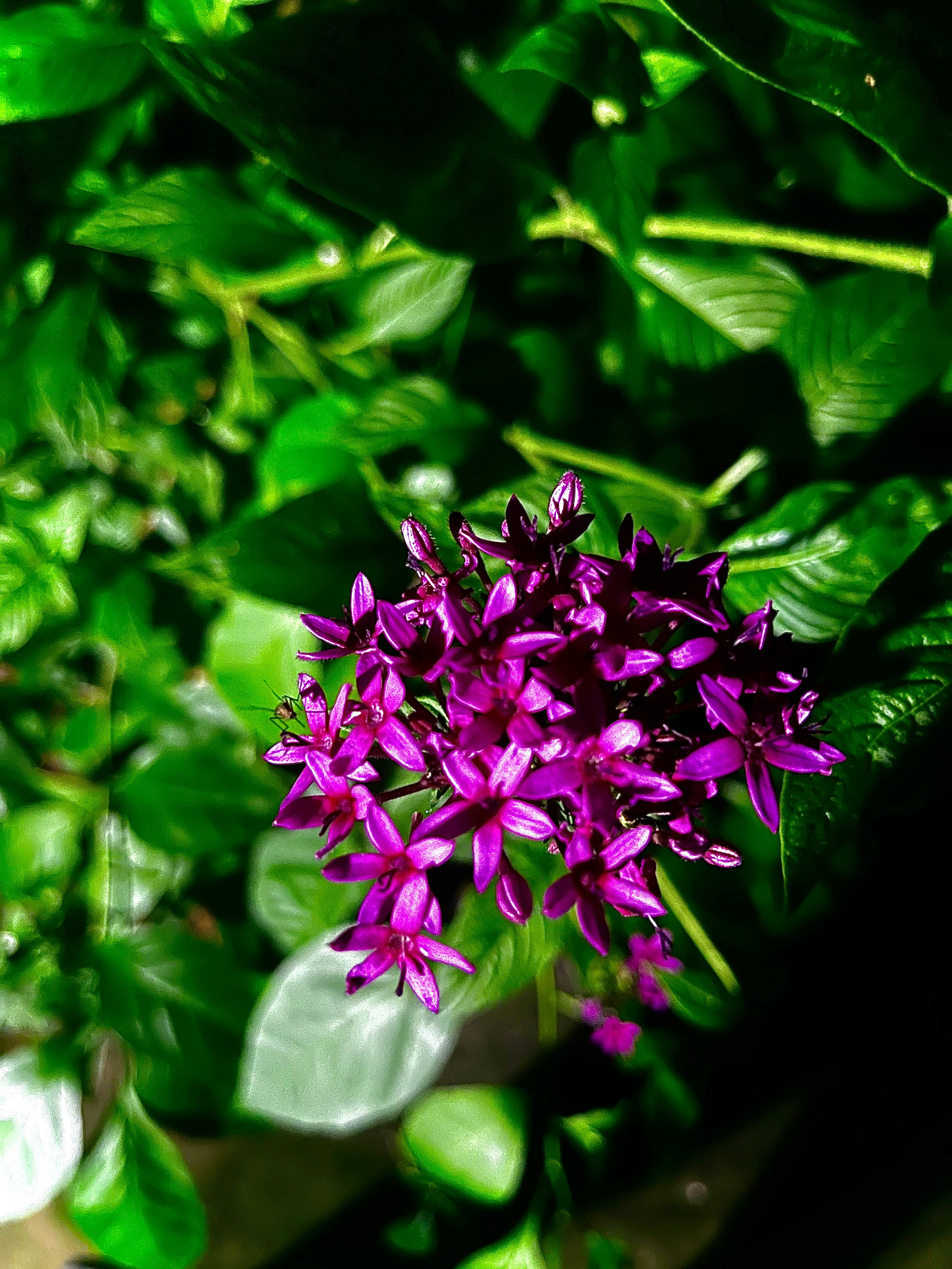 Photo by ellireeh_77