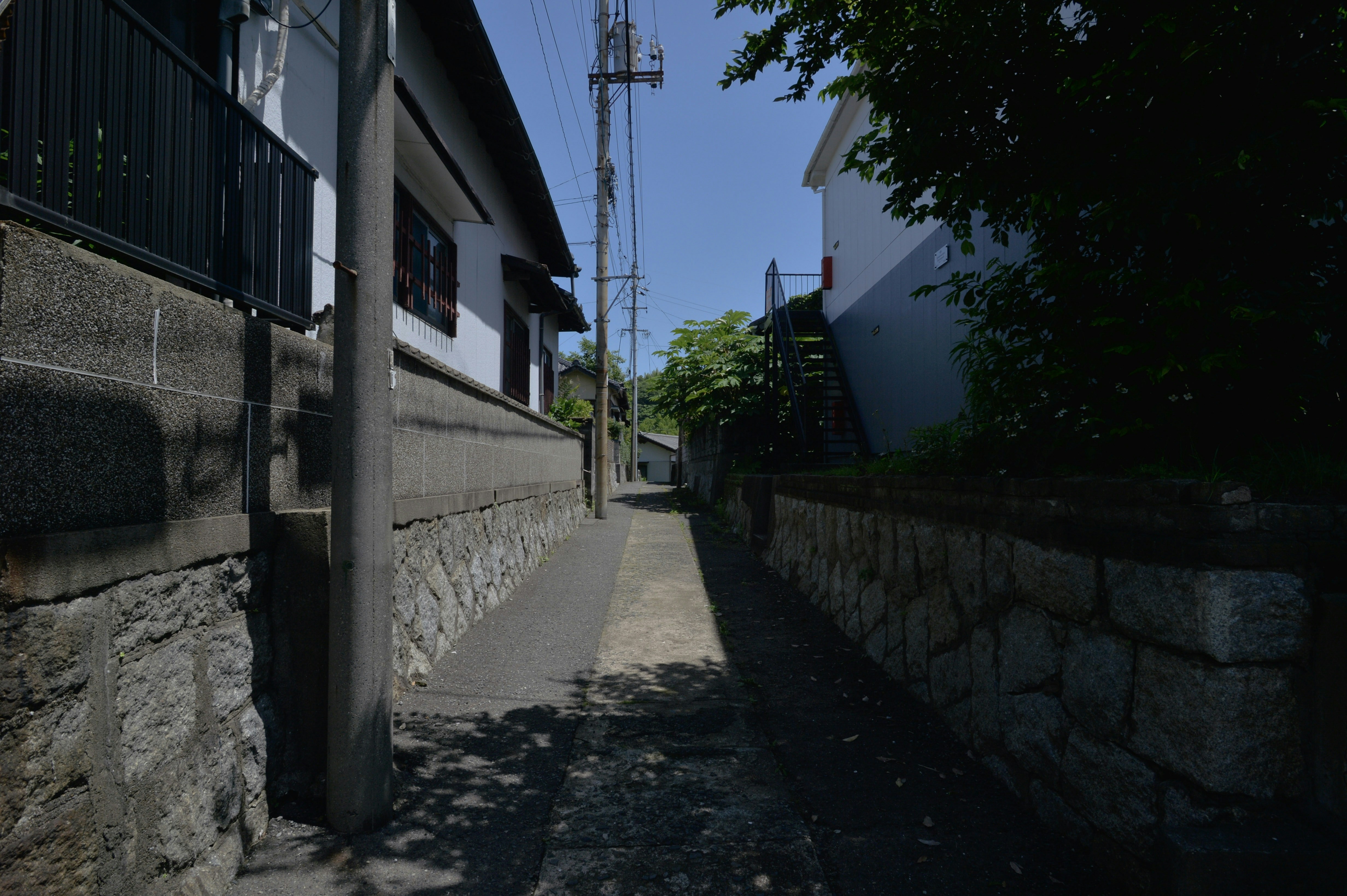 Photo by ziro1005