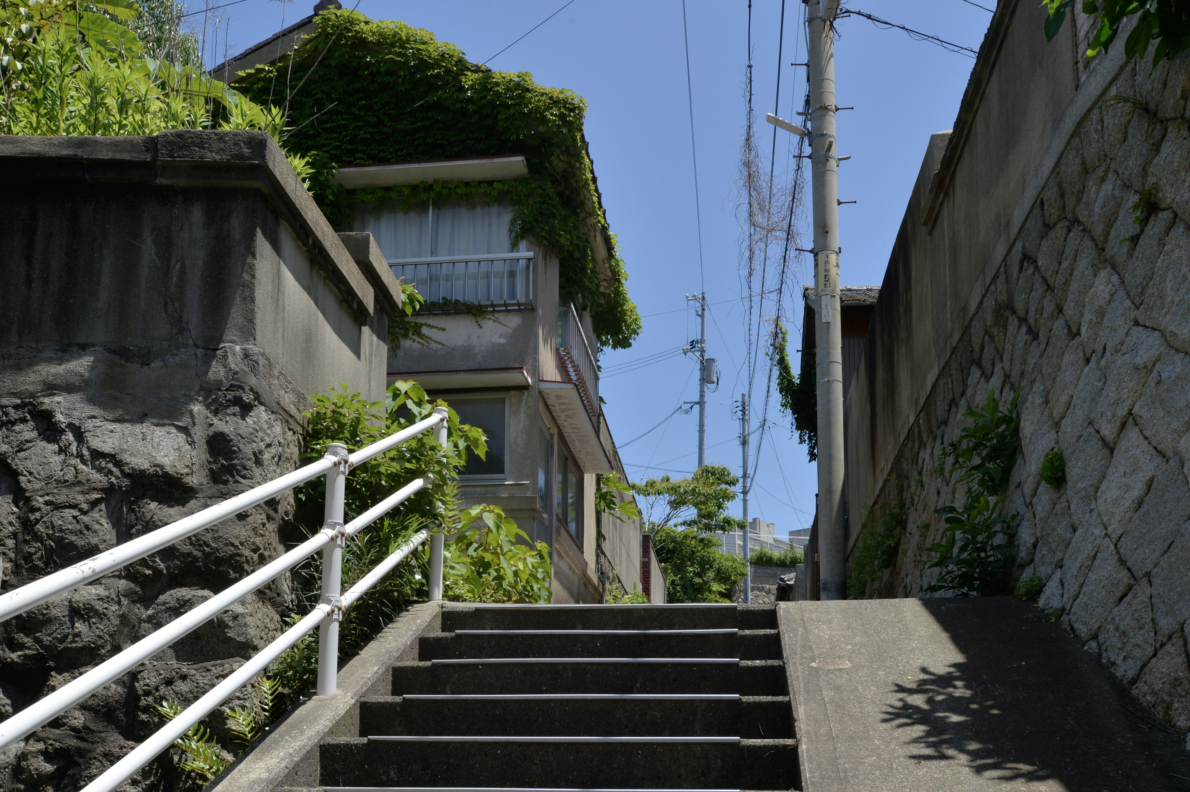 Photo by ziro1005