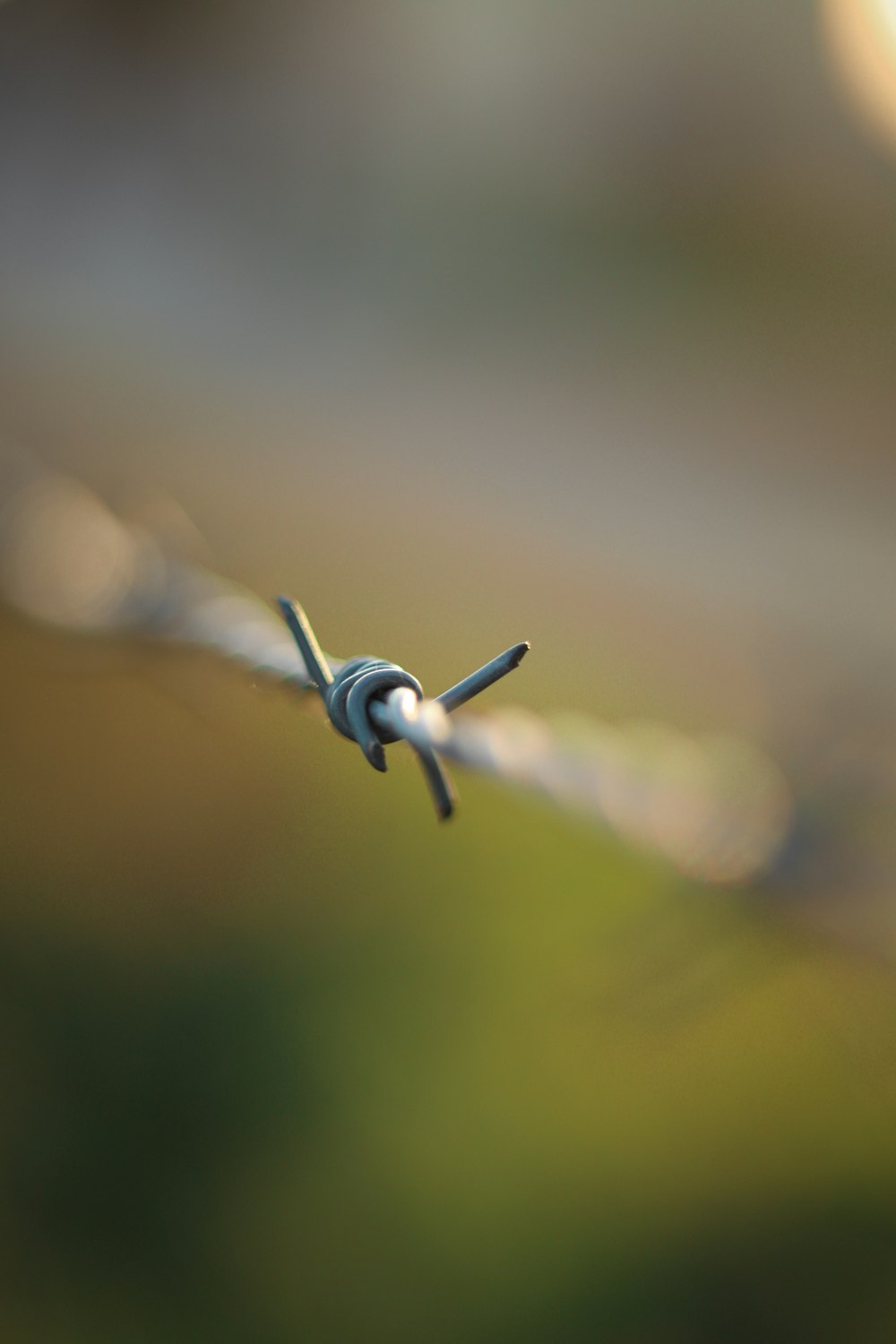 a barbed wire fence with a blurry background