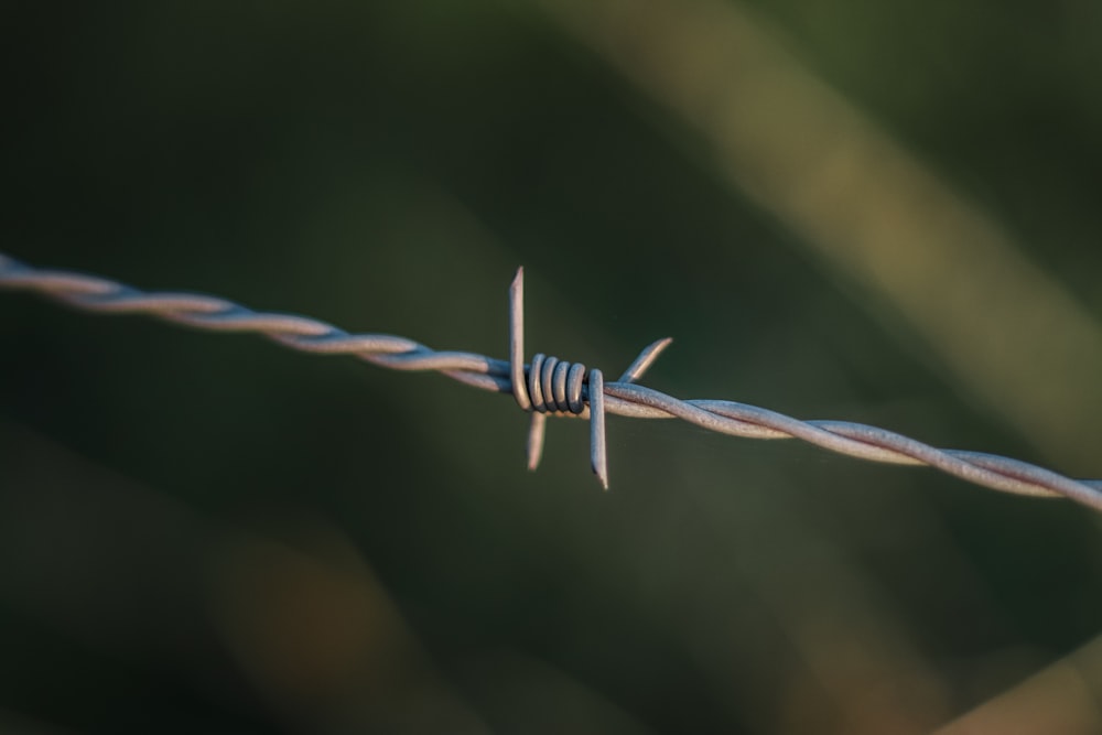 a close up of a barbed wire with a blurry background