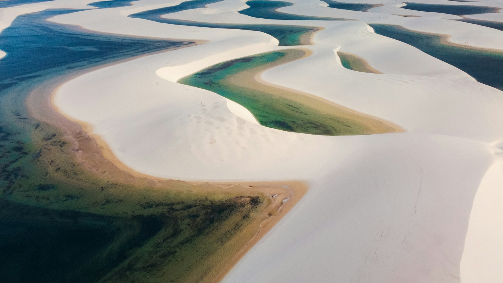 Aerial view of curving white dunes and blue-green rainwater lagoons in Lençóis Maranhenses National Park