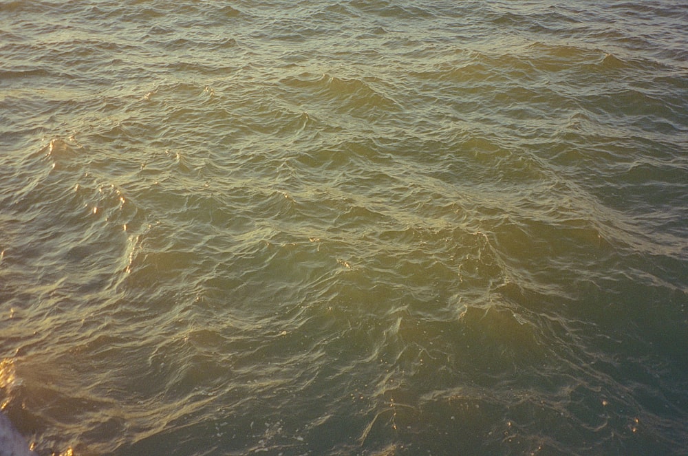 a person riding a surfboard on top of a body of water