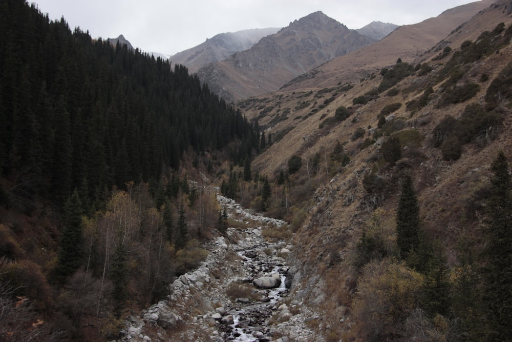 a river running through a valley surrounded by mountains