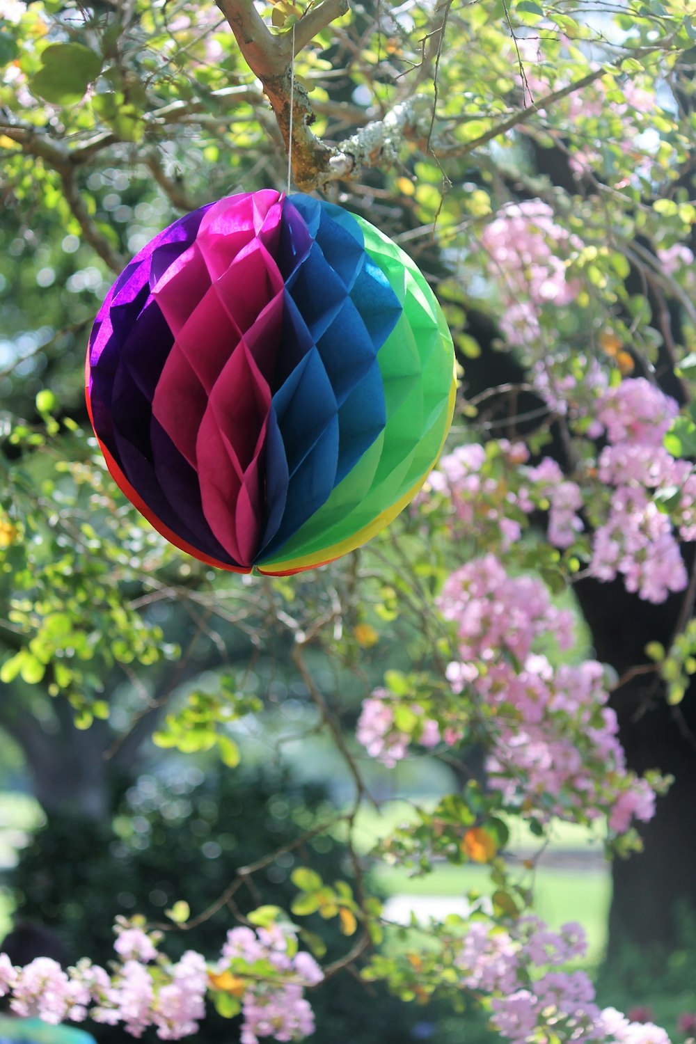 a colorful paper lantern hanging from a tree