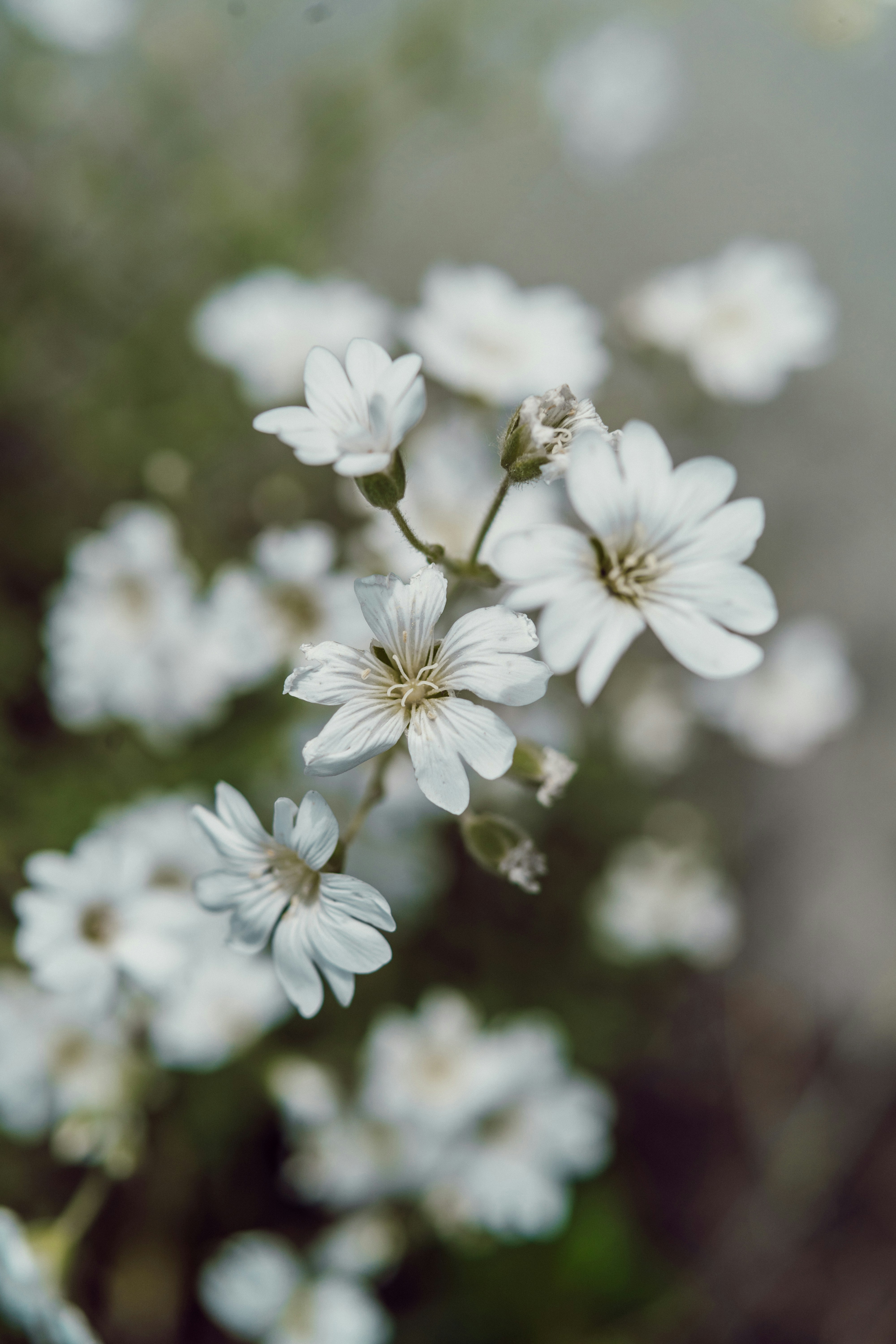 Photo by anamnesis33