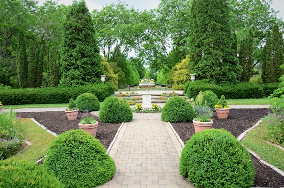A beautifully landscaped garden featuring a walkway lined with perfectly trimmed green shrubs and planters. In the center, a large decorative fountain surrounded by vibrant flowers adds elegance. Tall trees and dense hedges create a lush backdrop, enhancing the peaceful atmosphere.