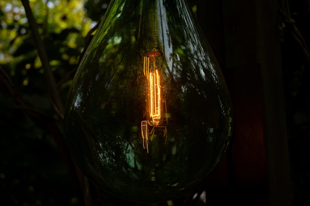 a light bulb hanging from a tree in the dark