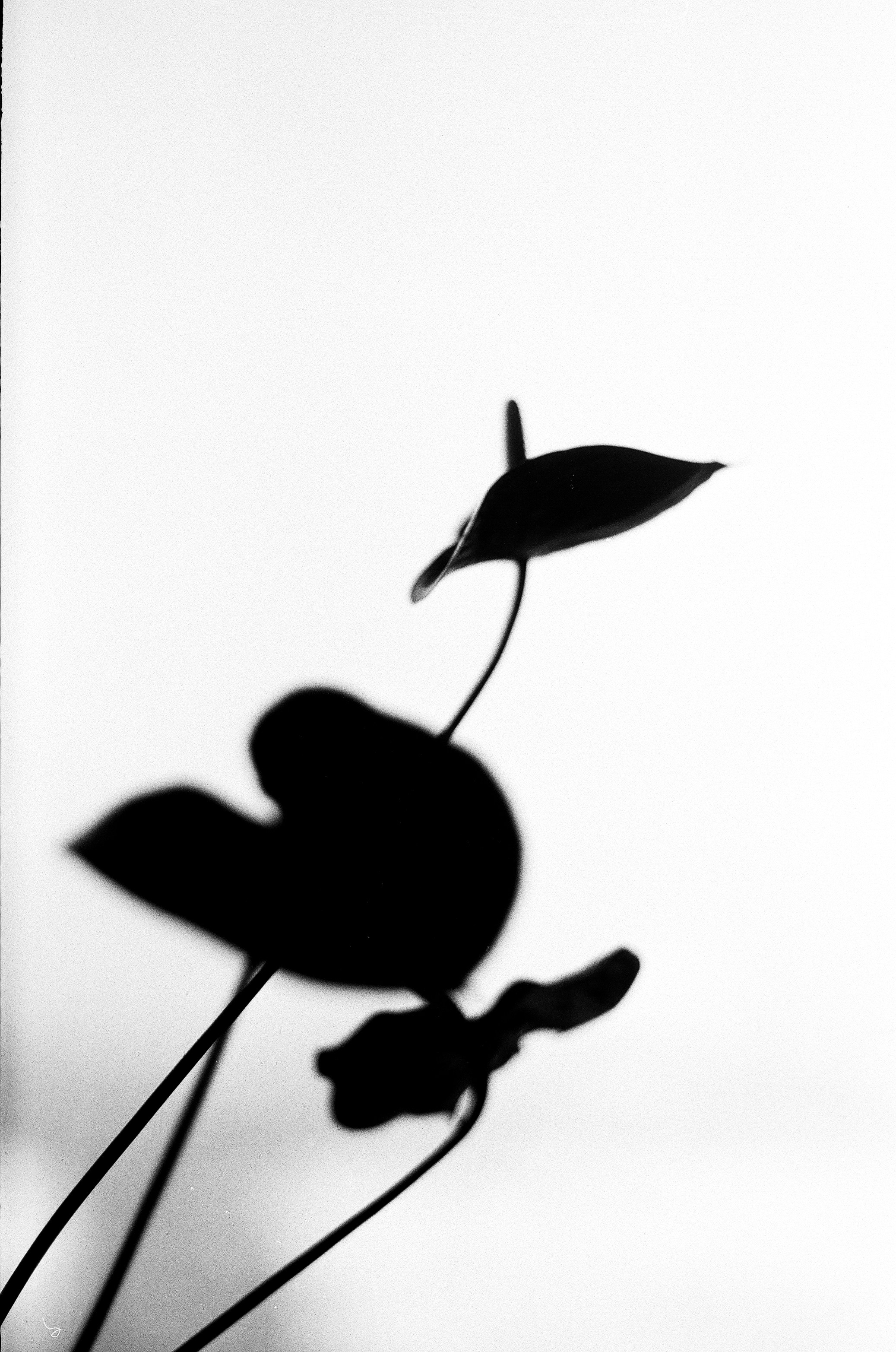 Photo by ilya_zaripov